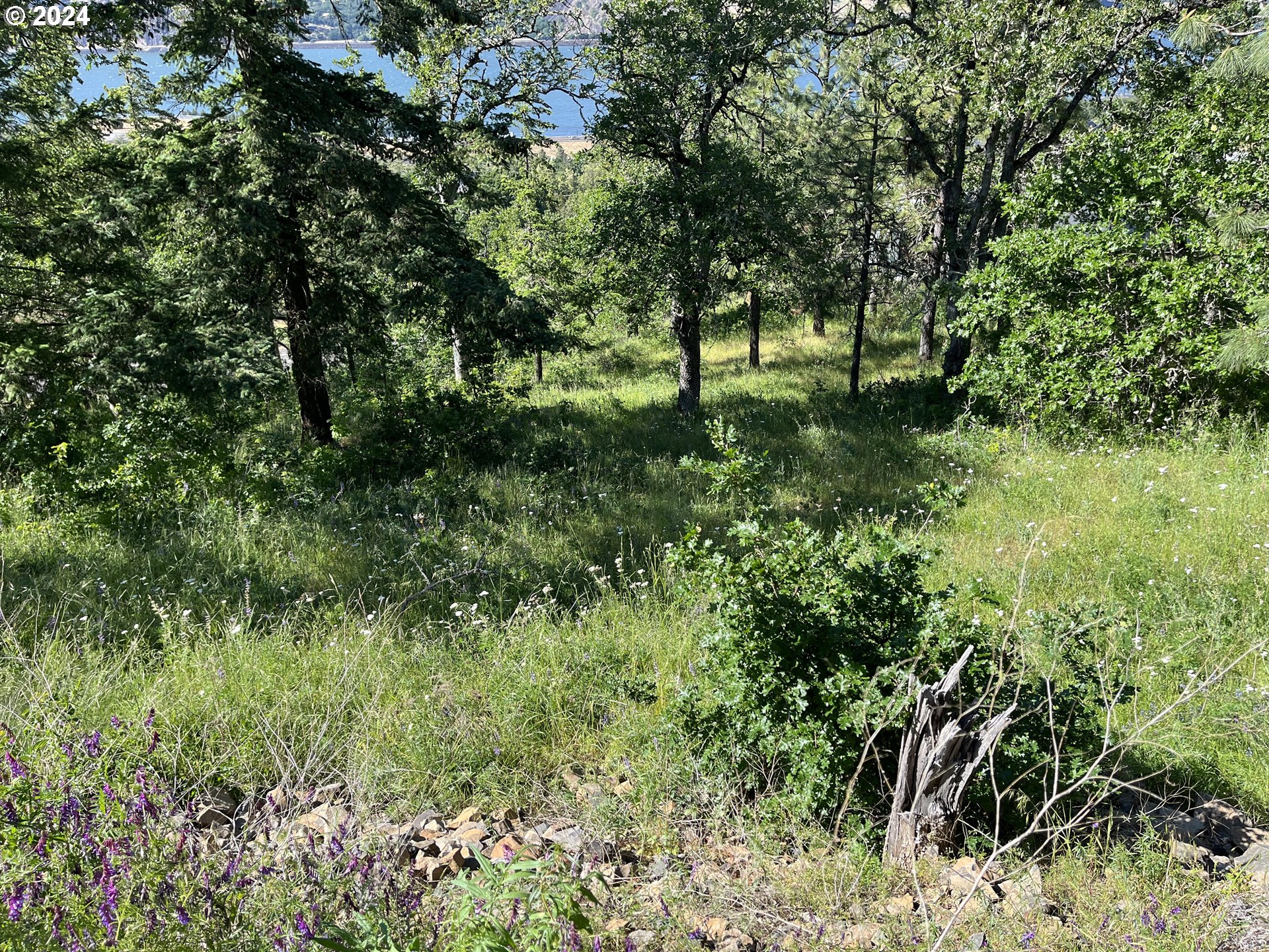 Coyote Ct 45 Property Photo 5