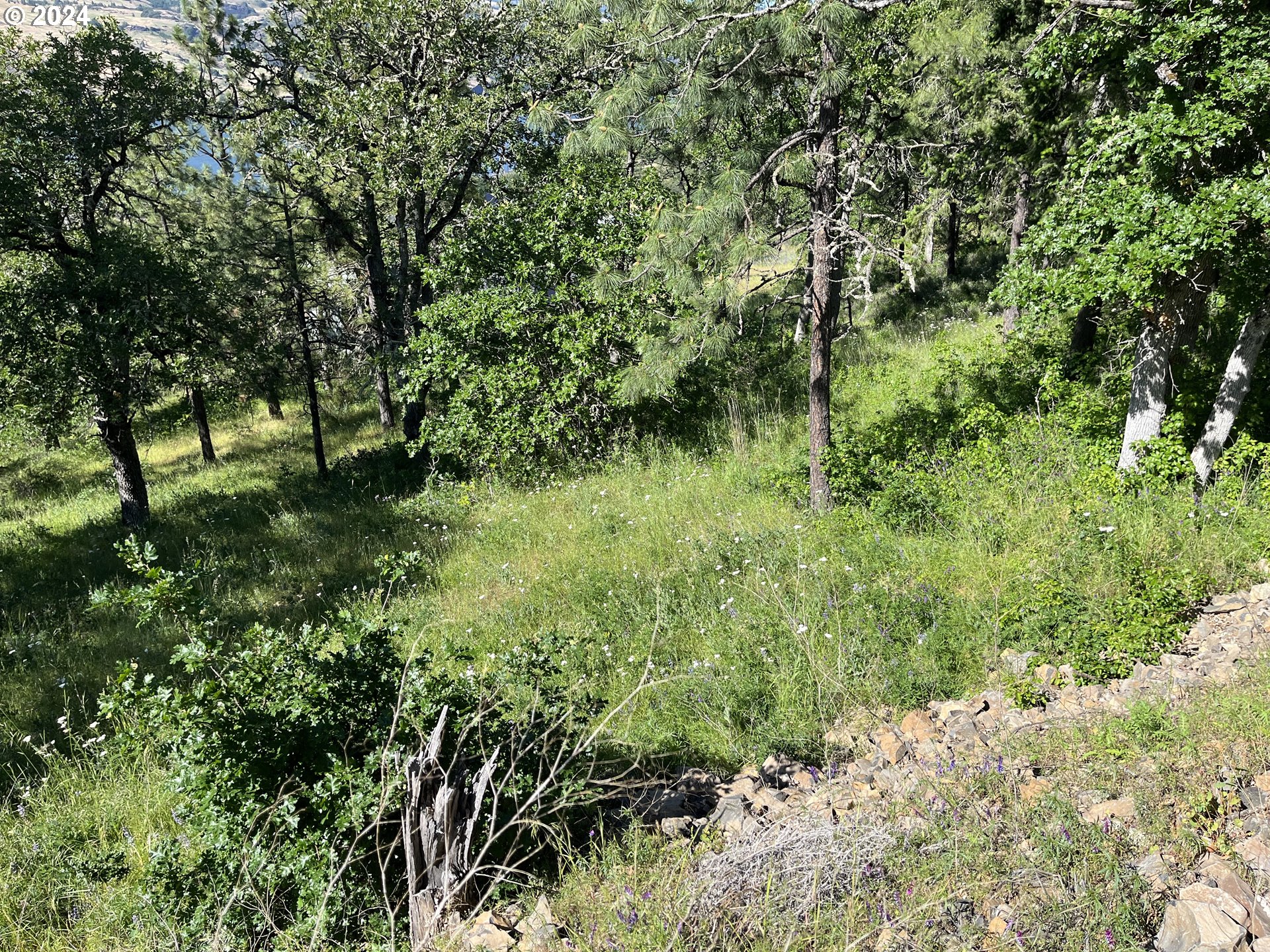 Coyote Ct 45 Property Photo 7