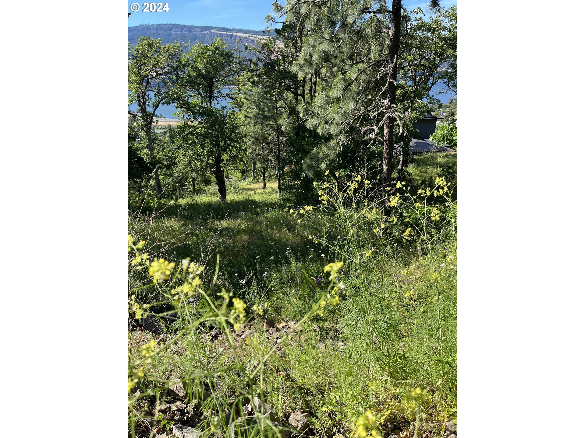 Coyote Ct 45 Property Photo 9