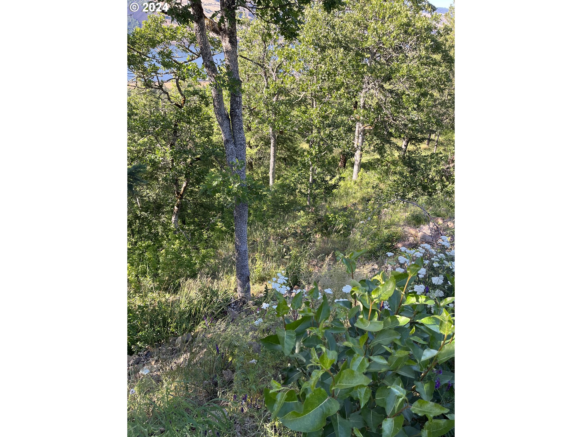 Coyote Ct 45 Property Photo 10