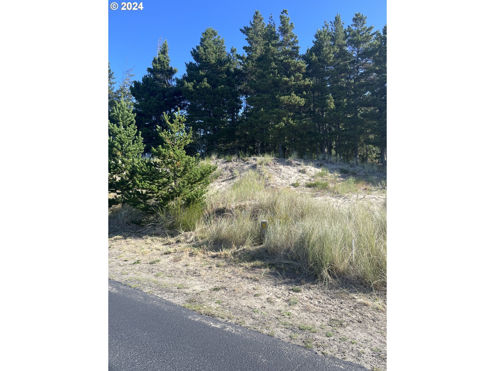 Pine Ridge DR 141 Property Photo 1