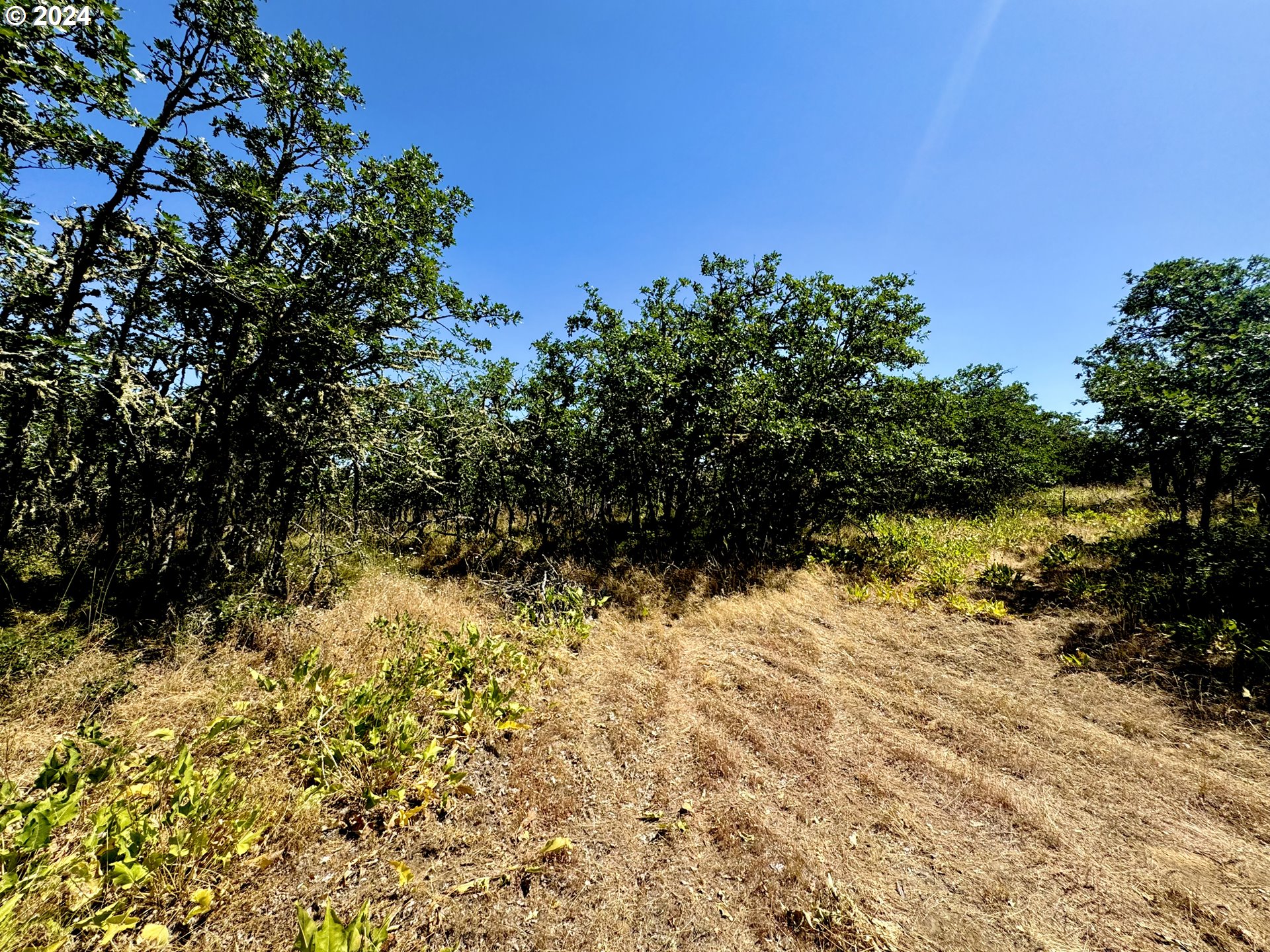 6538 Halliburton Rd Property Photo 10