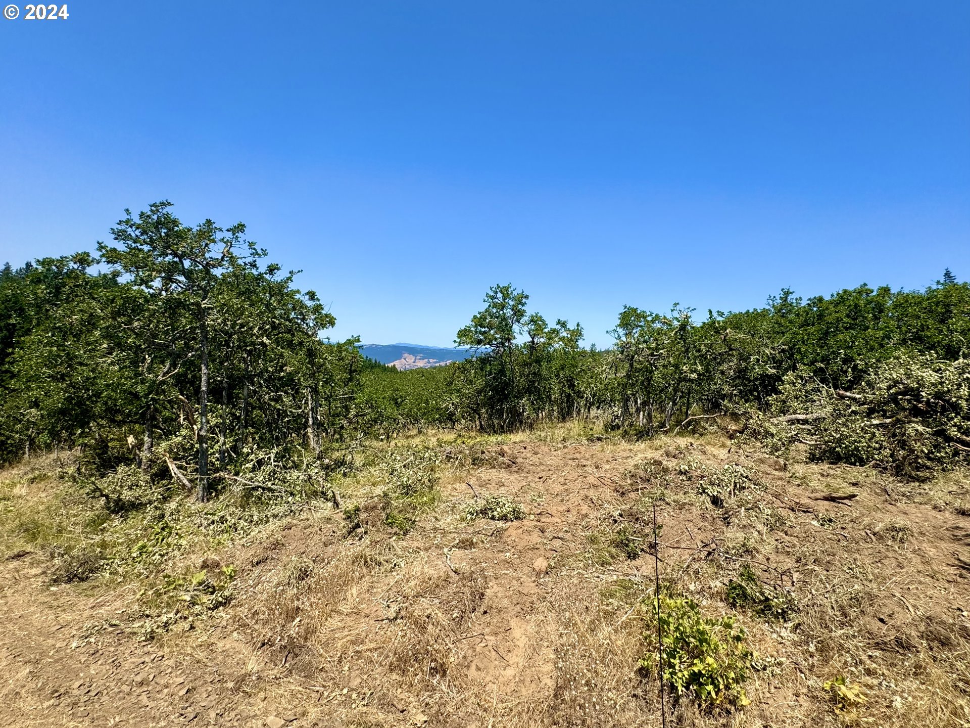 6538 Halliburton Rd Property Photo 15