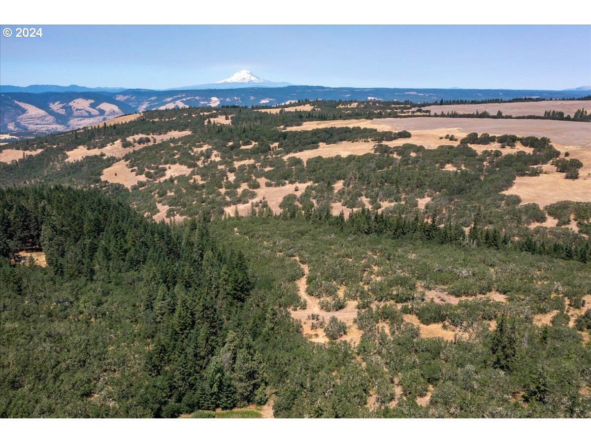 6538 Halliburton Rd Property Photo 30
