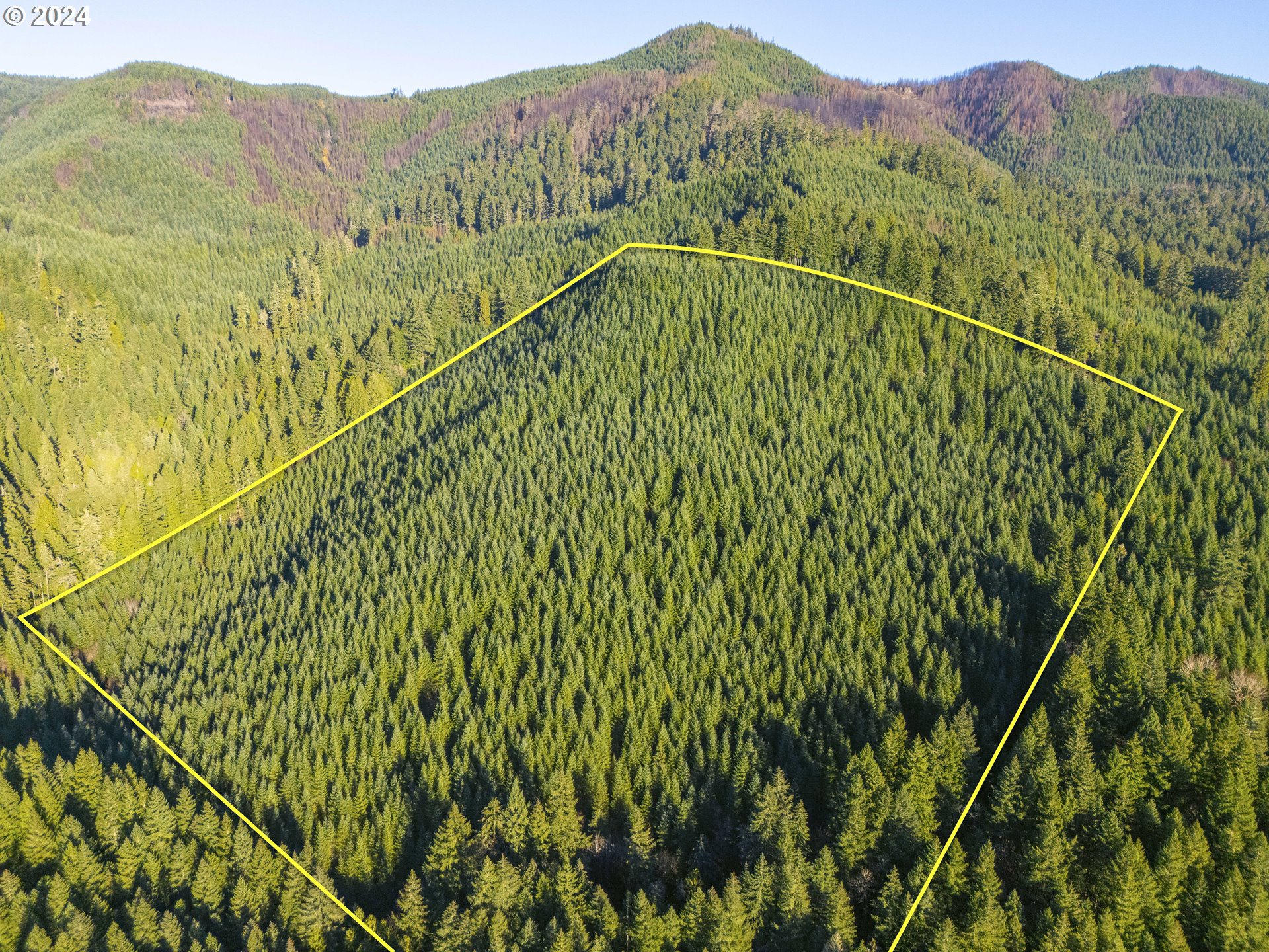 Sharps Creek Rd Property Photo 2