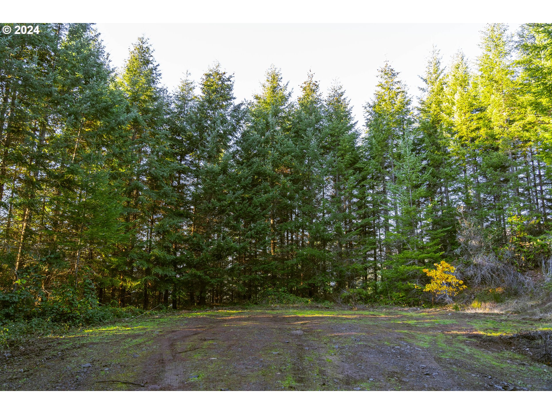 Sharps Creek Rd Property Photo 8