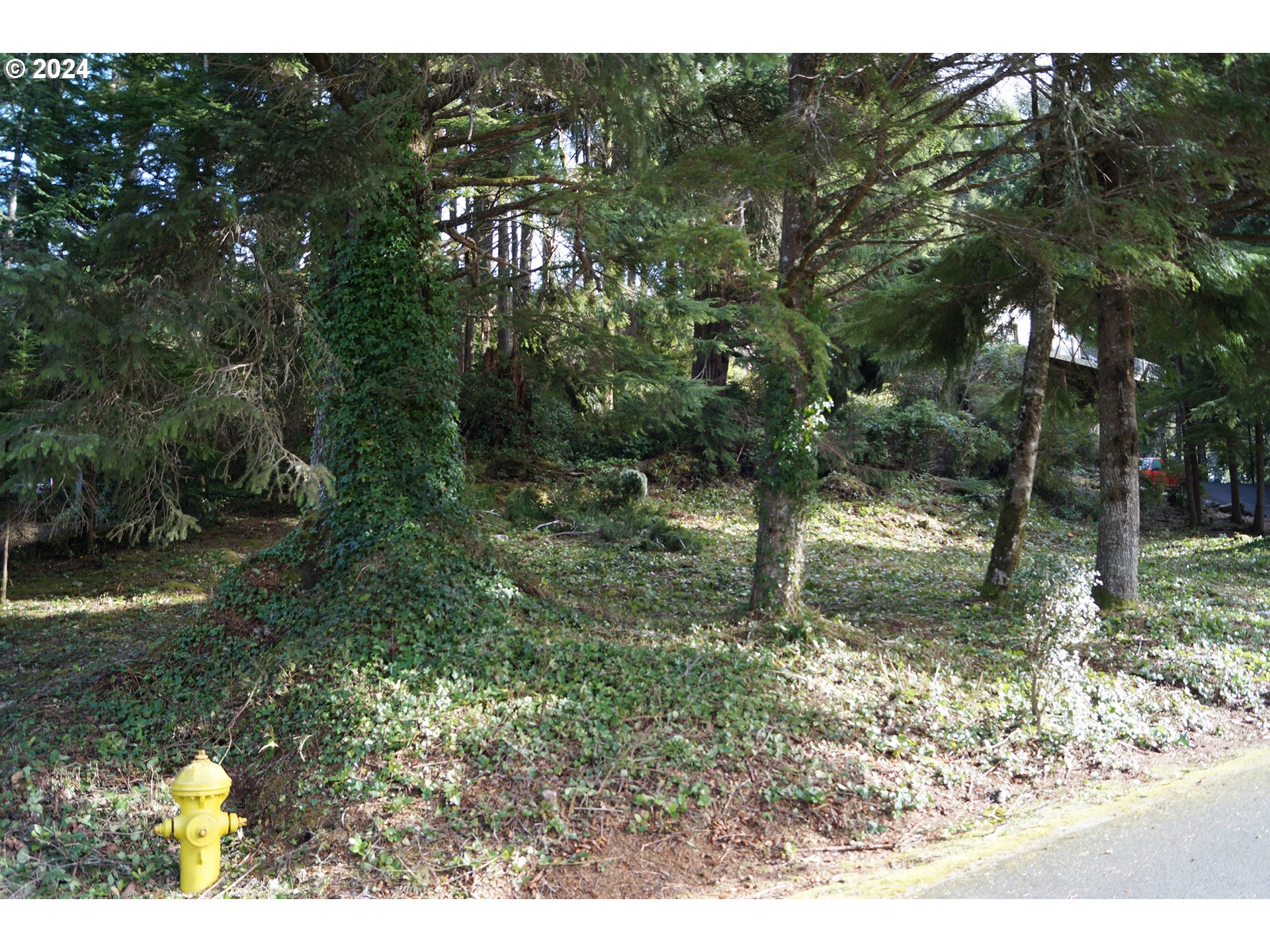 539 Fairway Dr Property Photo 2