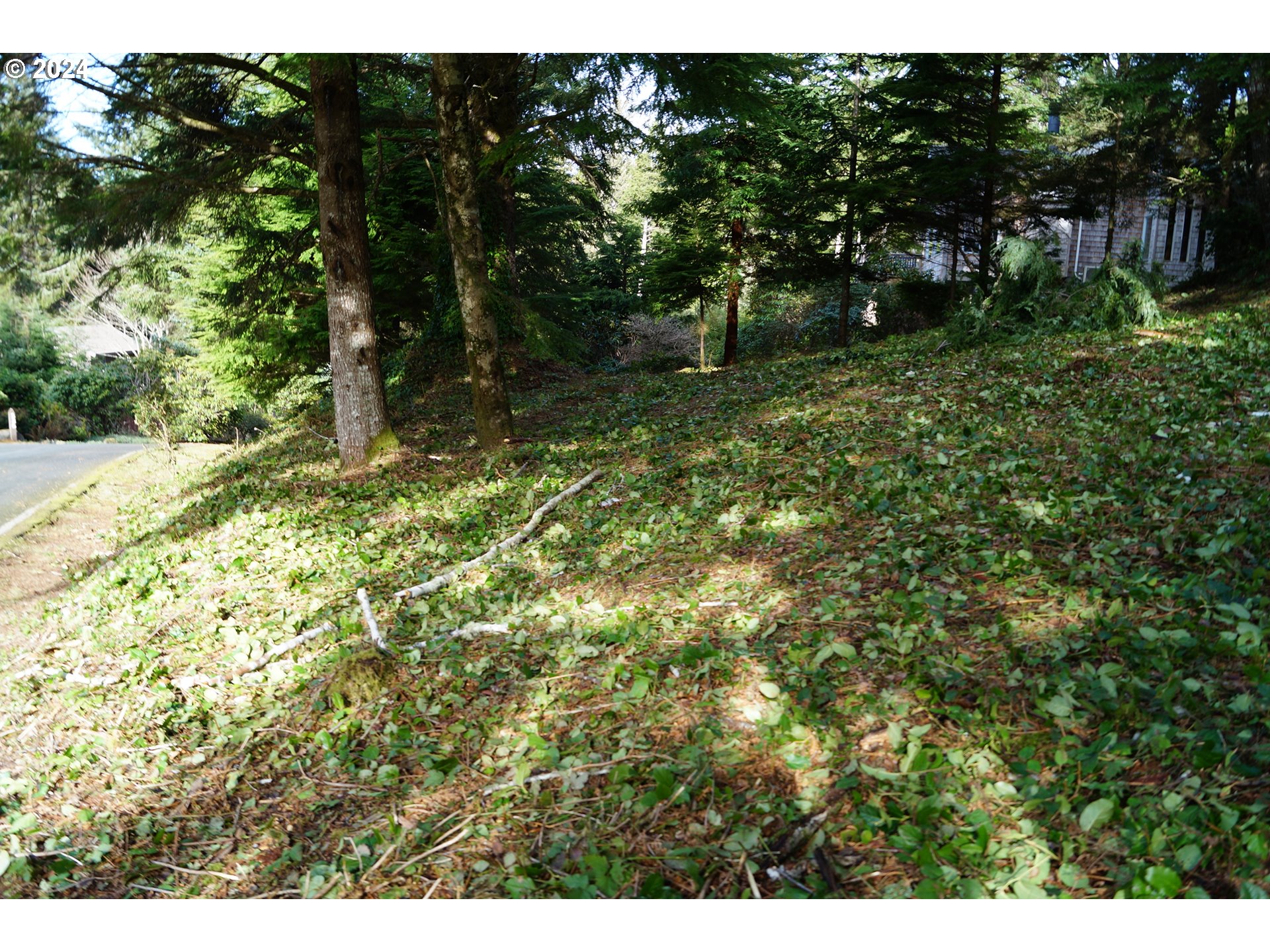 539 Fairway Dr Property Photo 3
