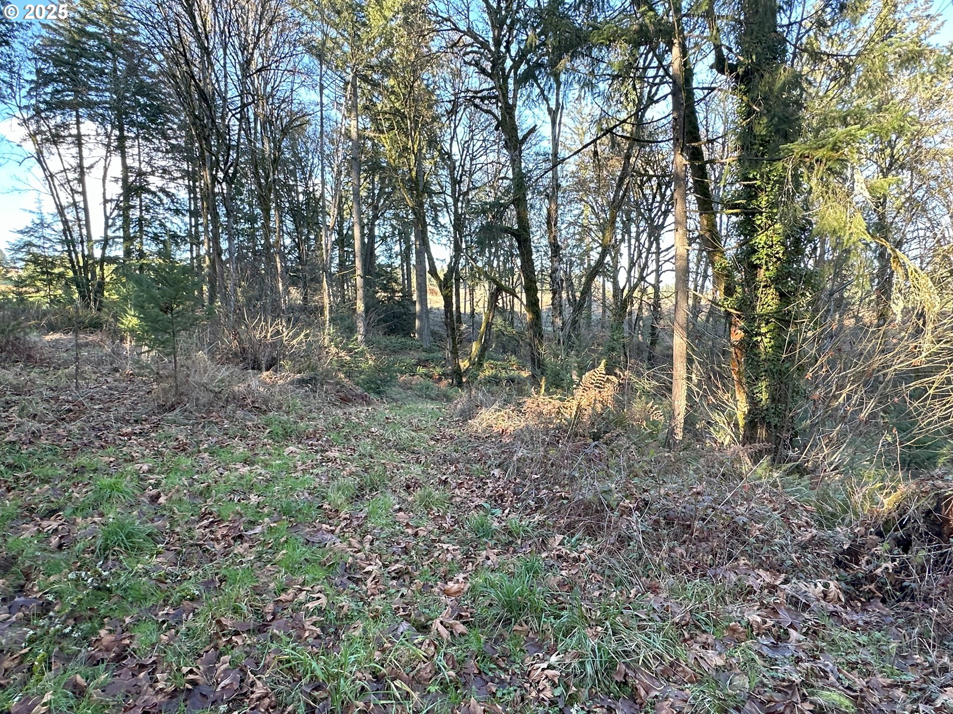 21487 Sw Kruger Rd Property Photo 1