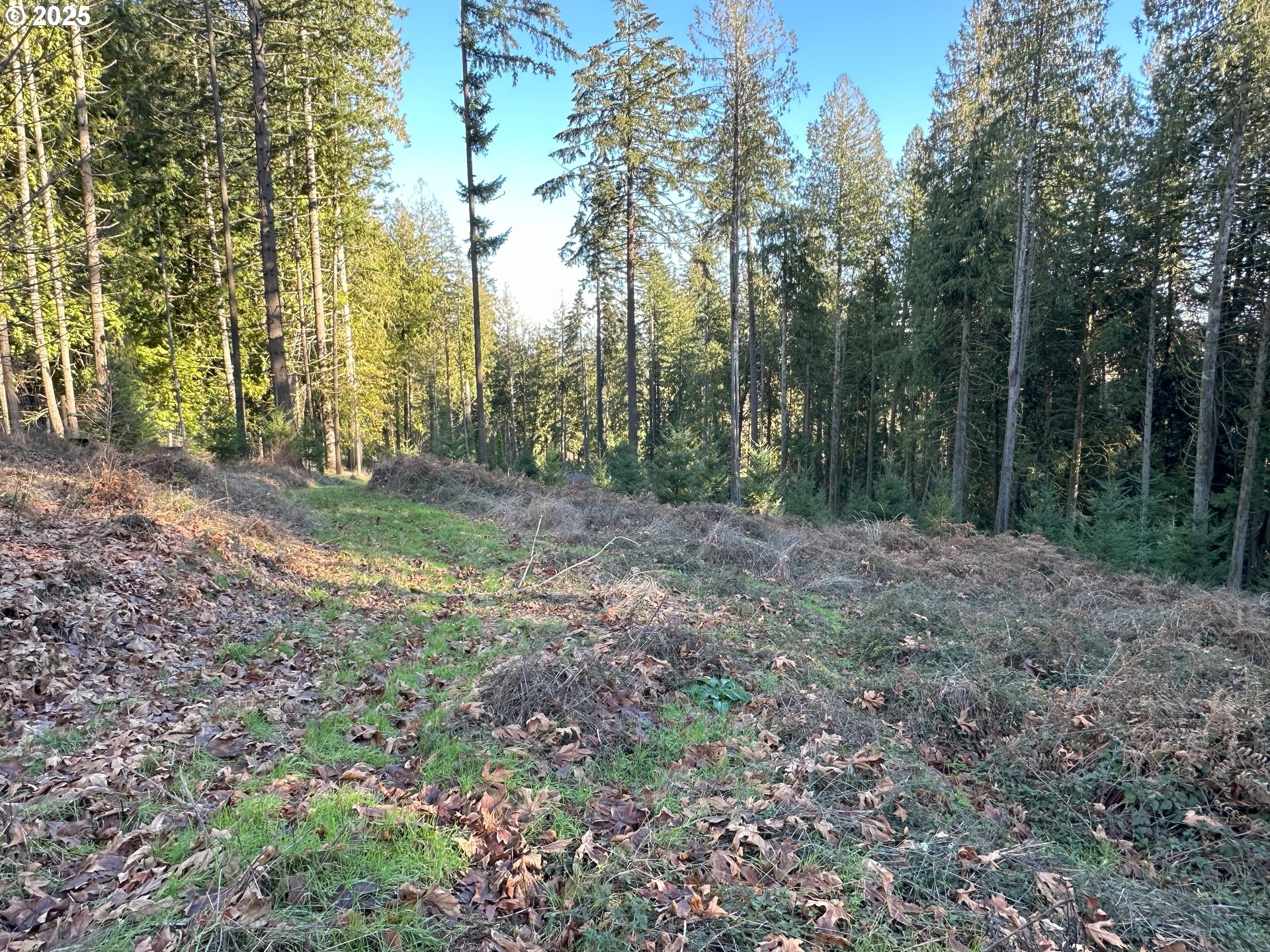 21271 Sw Kruger Rd Property Photo 4