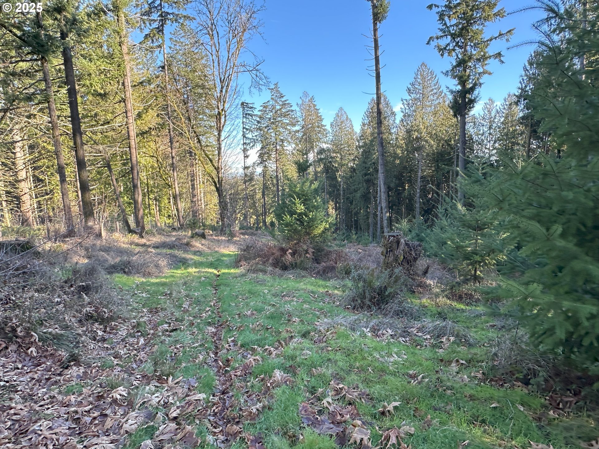 21271 Sw Kruger Rd Property Photo 5