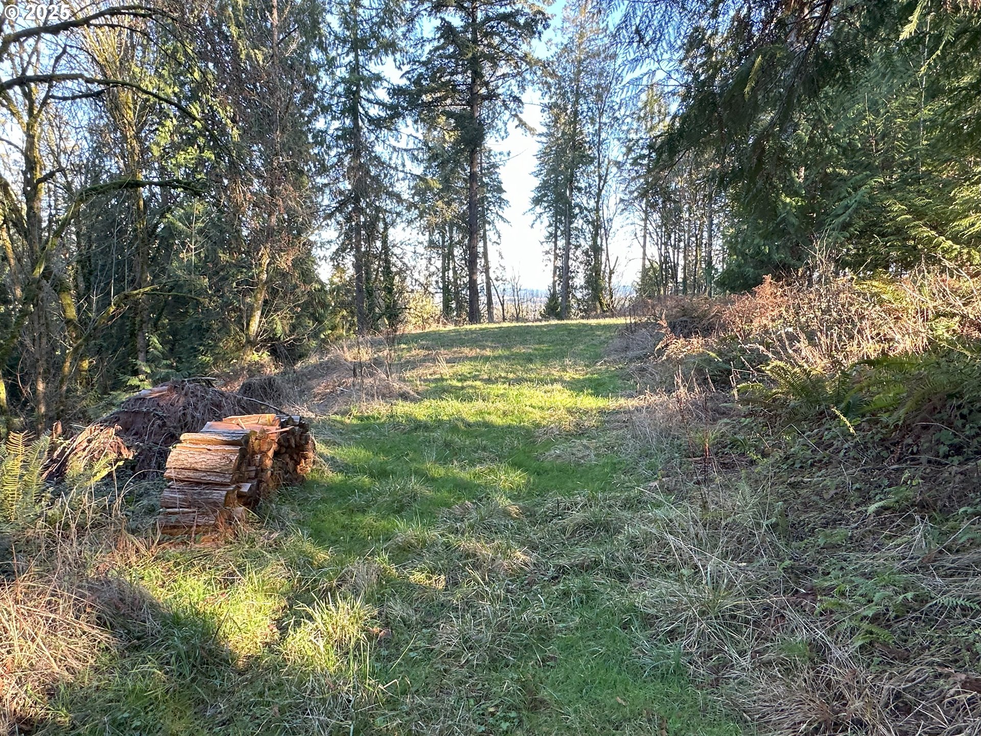 21271 Sw Kruger Rd Property Photo 6