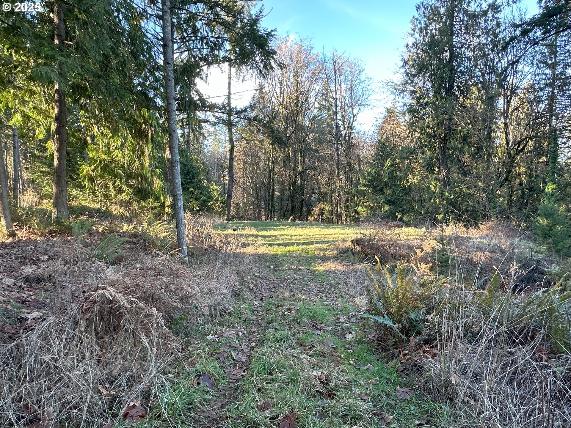 21271 Sw Kruger Rd Property Photo 7