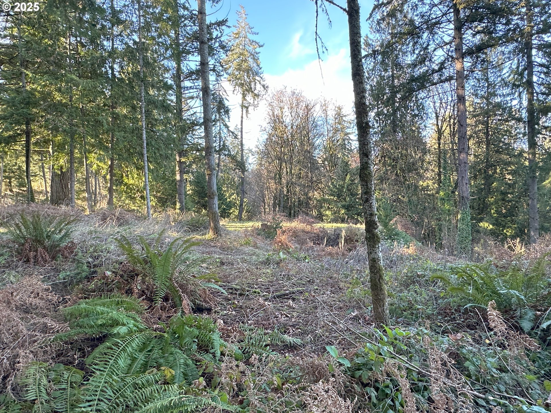 21271 Sw Kruger Rd Property Photo 8