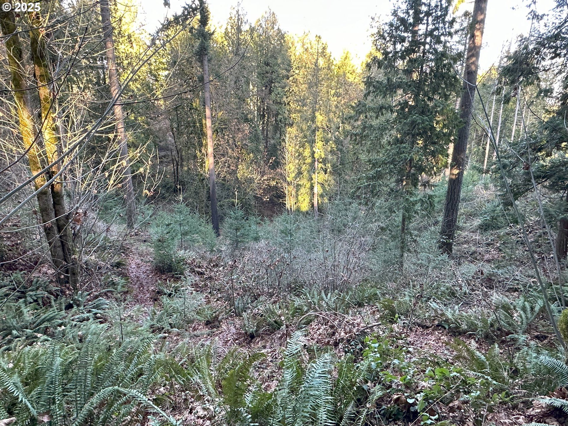 21271 Sw Kruger Rd Property Photo 9