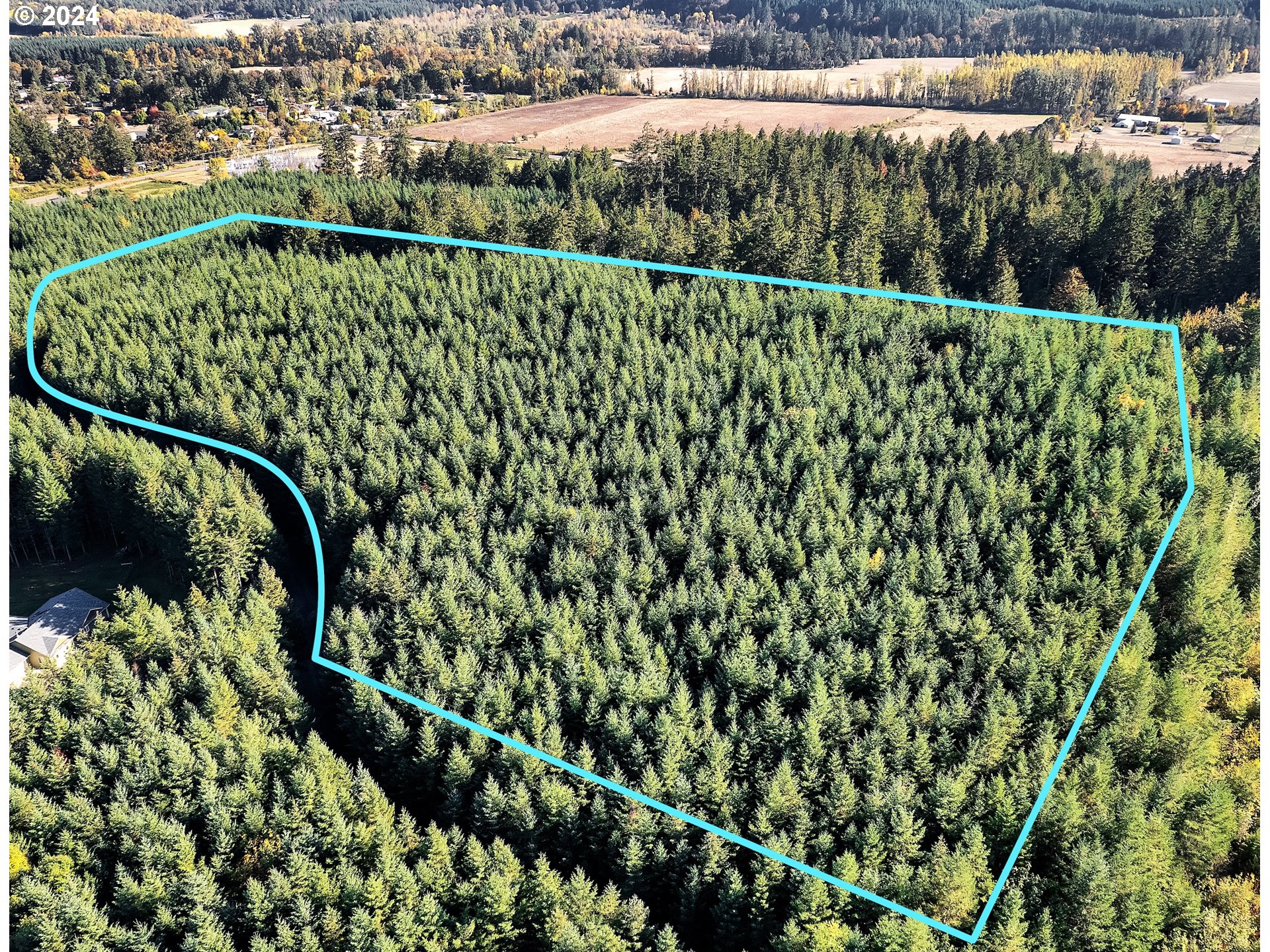 Cascade Woods Dr Property Photo 2