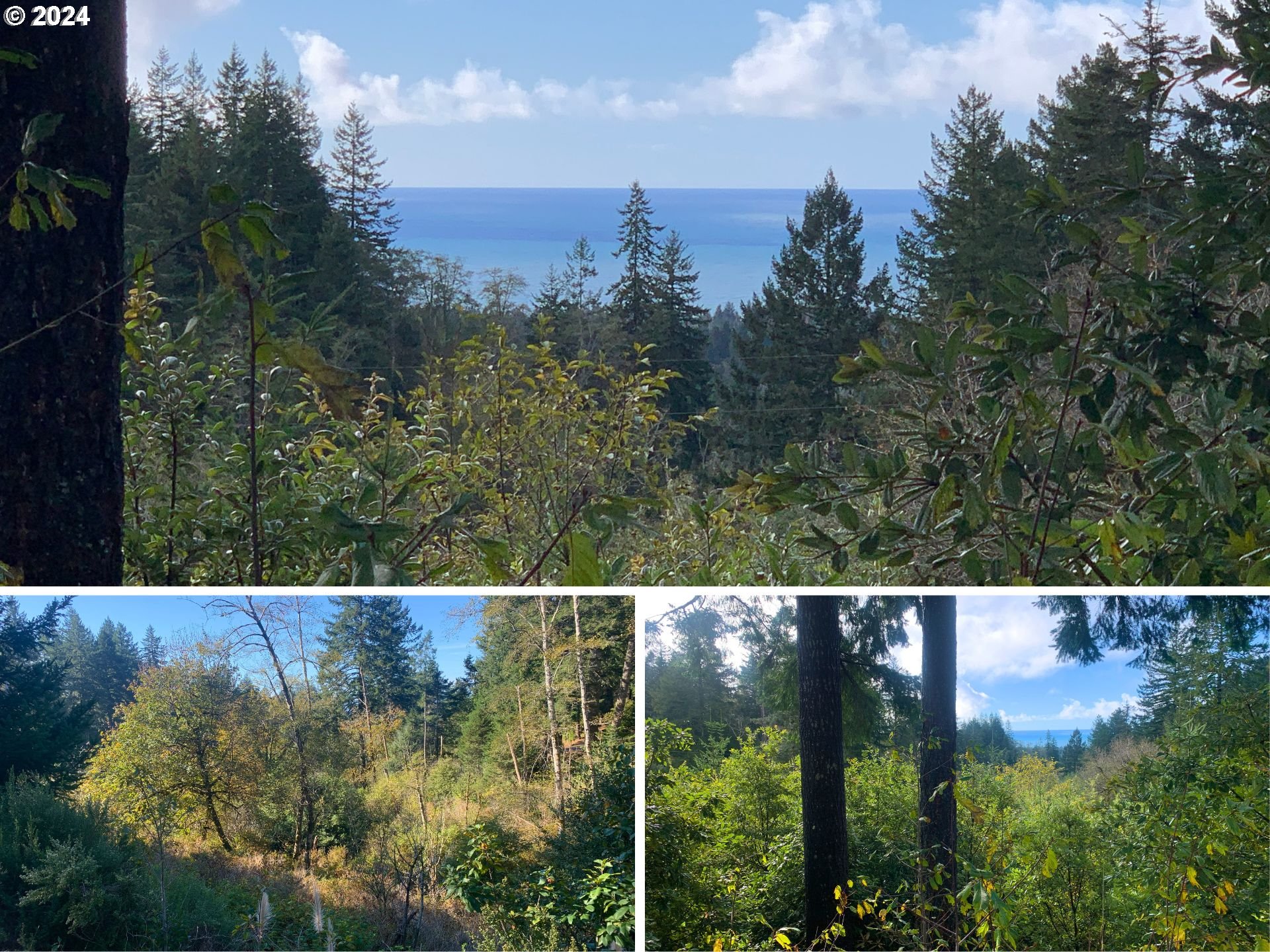 Duley Creek 501/503 Property Photo 1