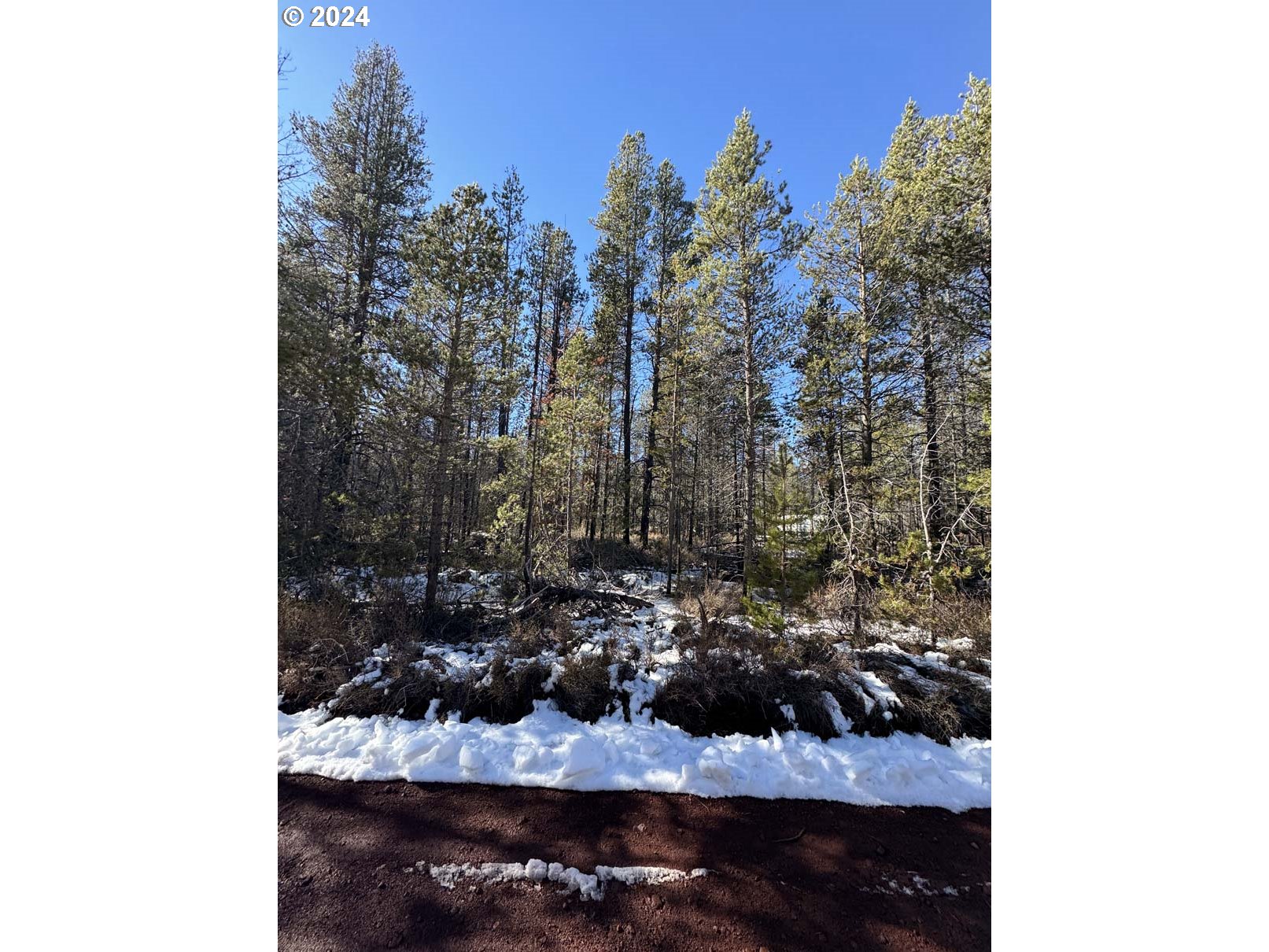 Cloudcap Dr Lot 14 Property Photo 12