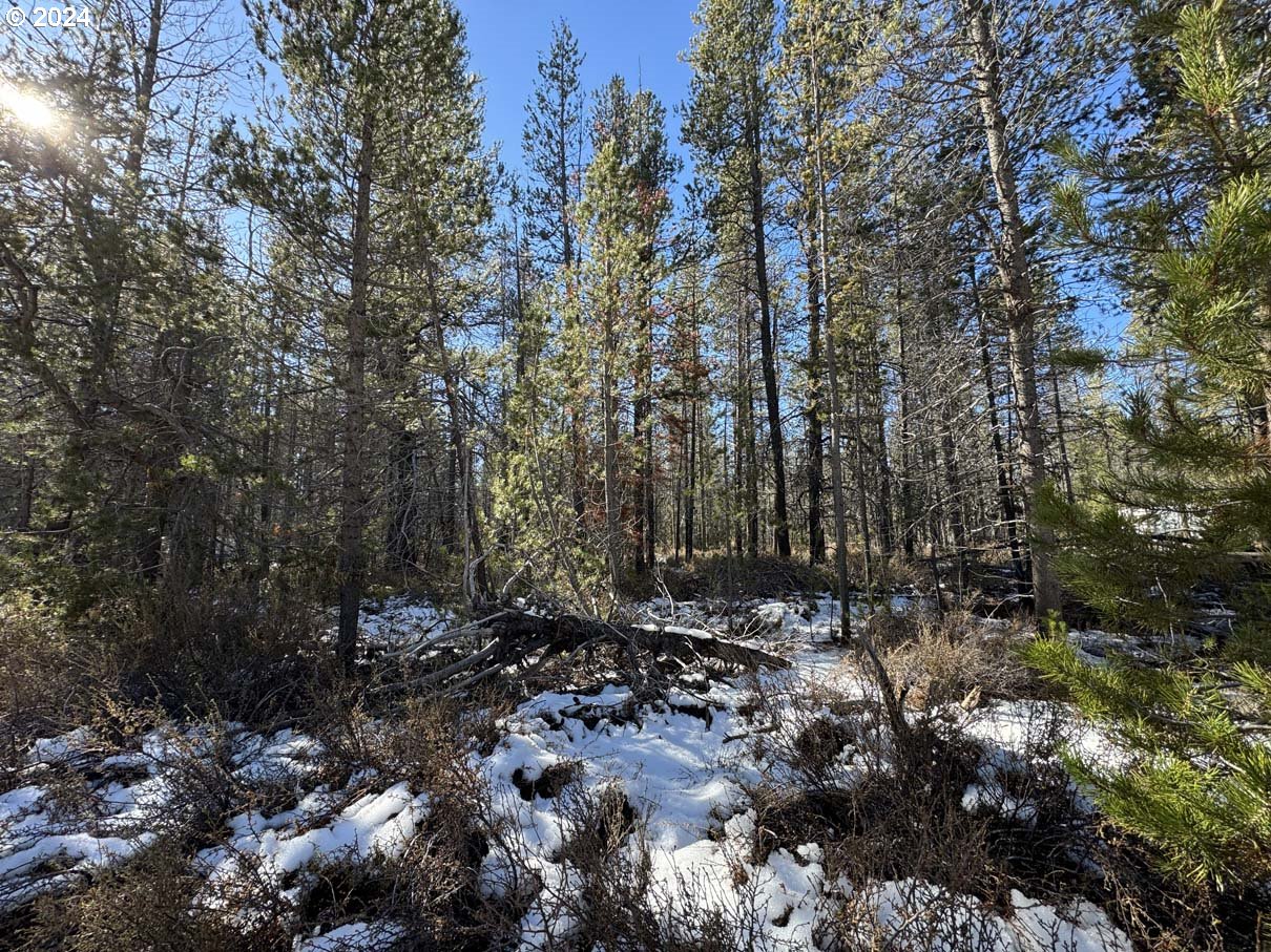 Cloudcap Dr Lot 14 Property Photo 14