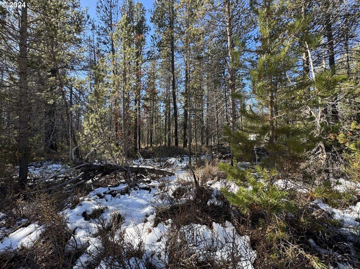 Cloudcap Dr Lot 14 Property Photo 15
