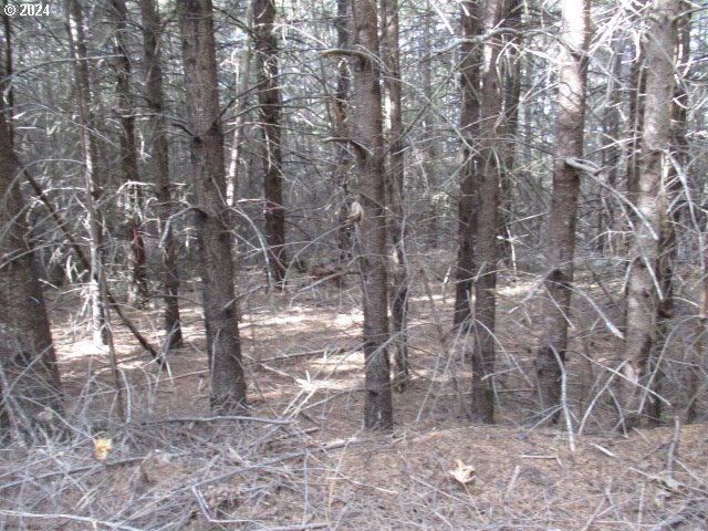 0 Nw Crane (1) Property Photo 8