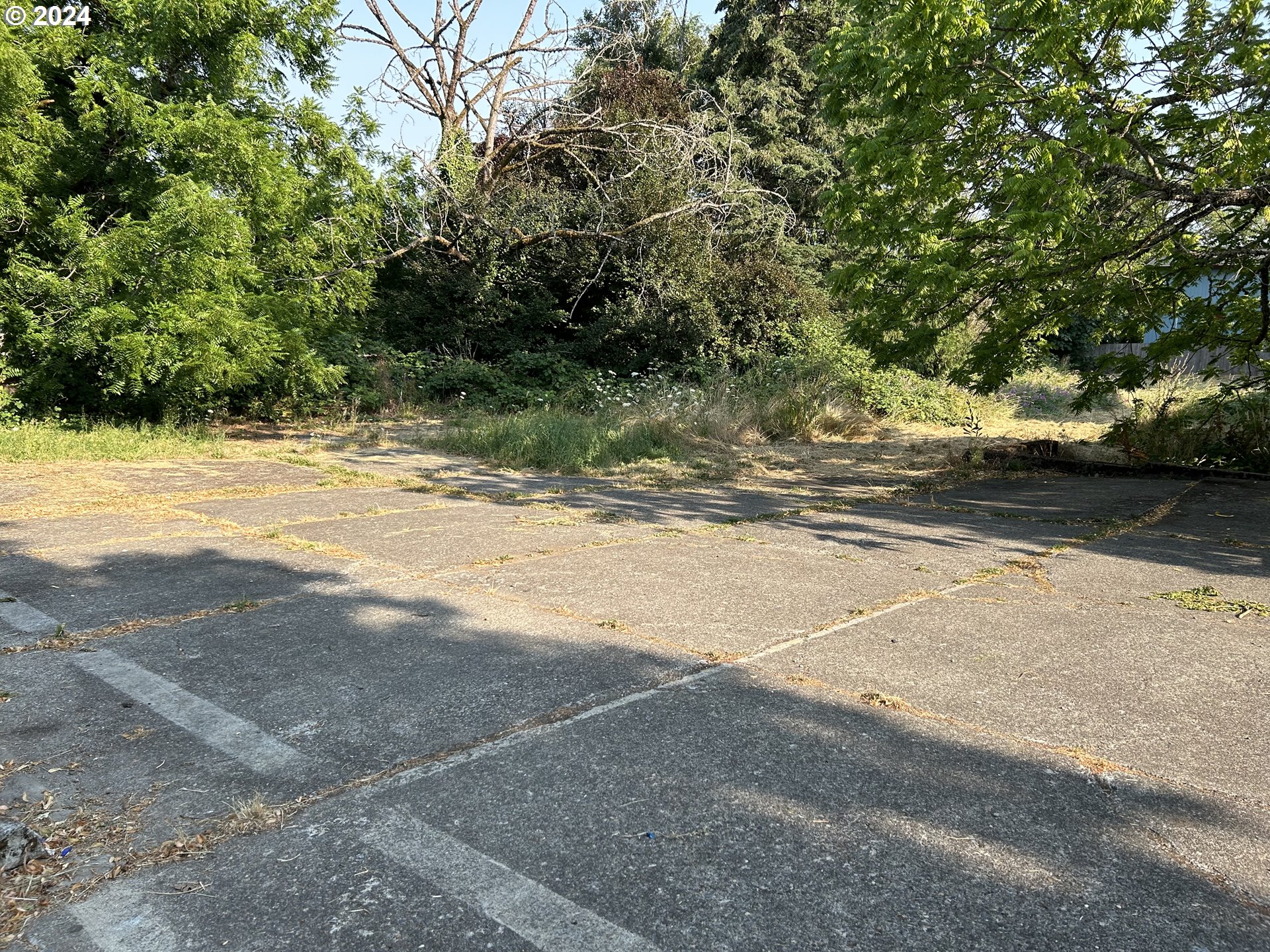 C St Lot #1 Property Photo 4