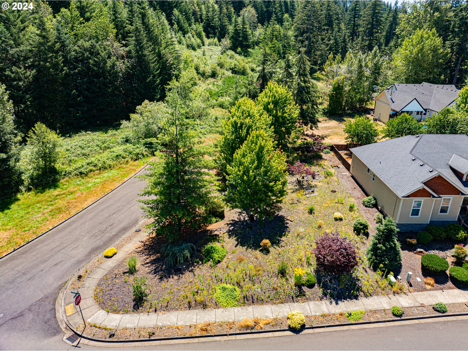 985 Pinetop St Property Photo 1