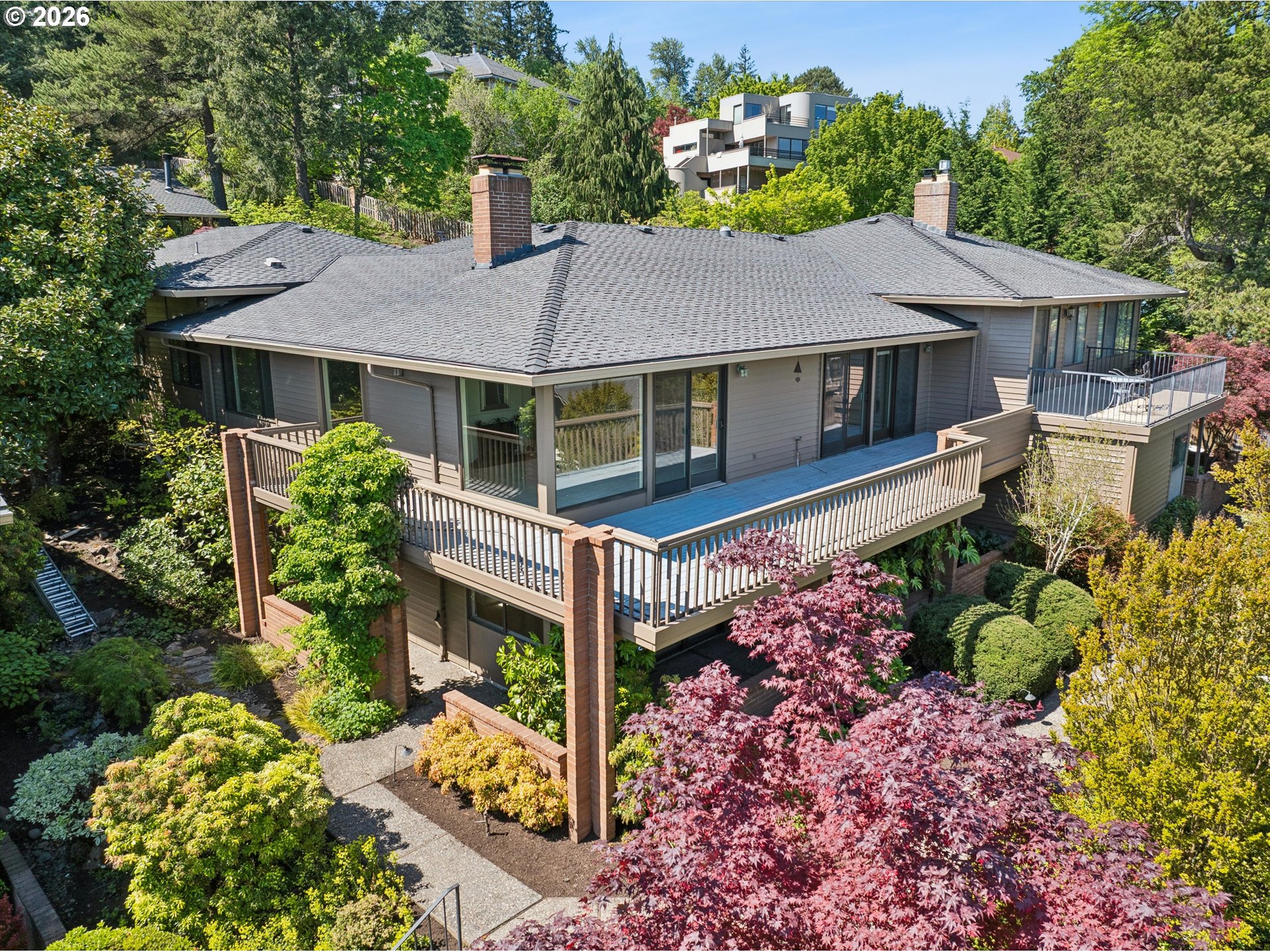 50 CONDOLEA CT