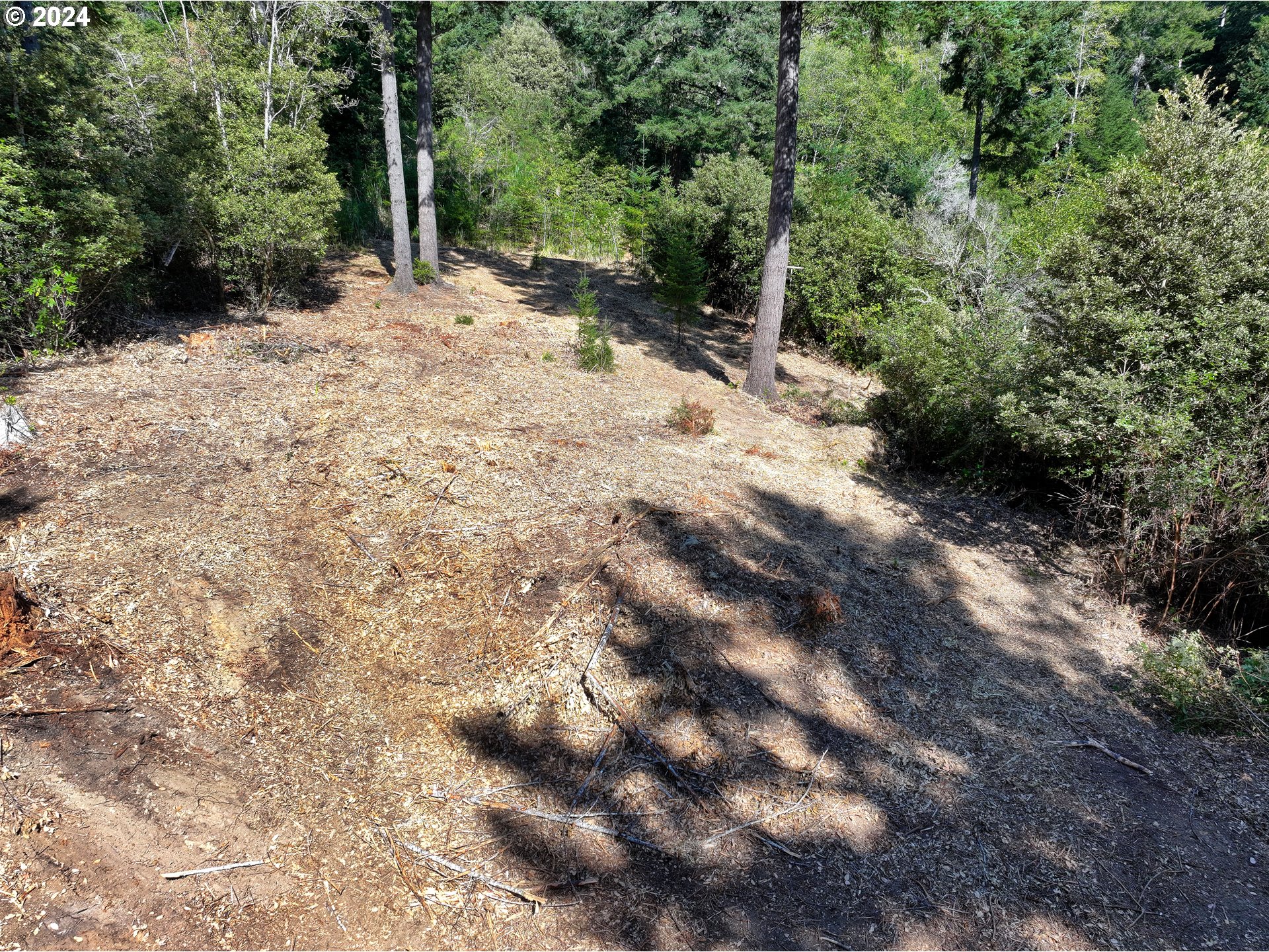 Old County Road Property Photo 5