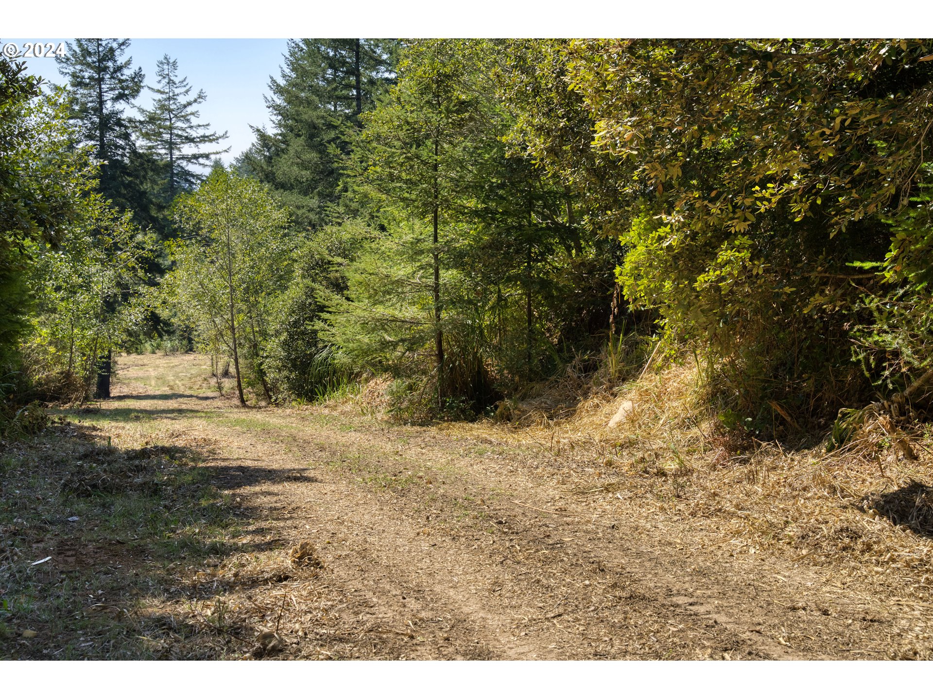 Old County Road Property Photo 6
