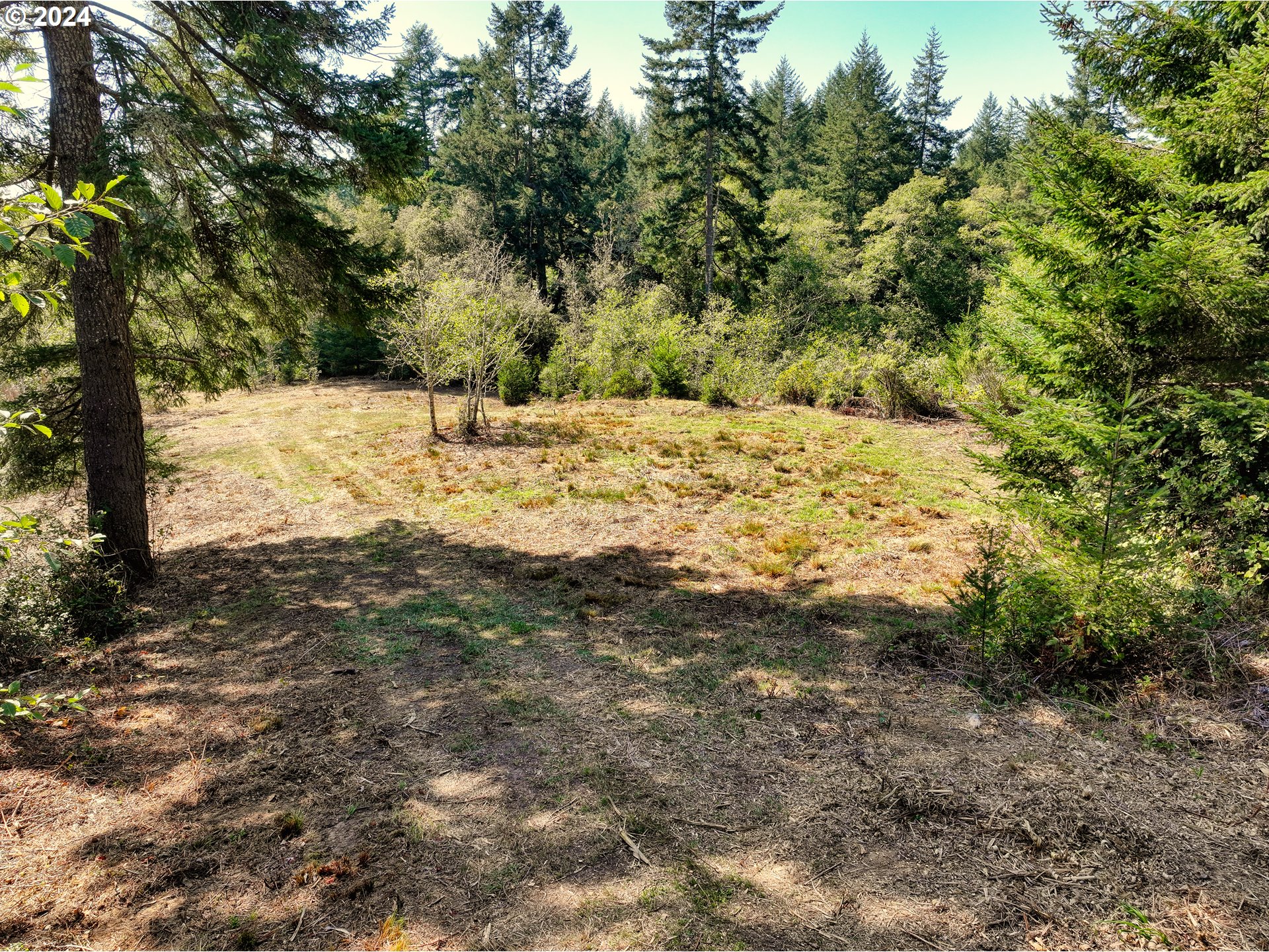 Old County Road Property Photo 12