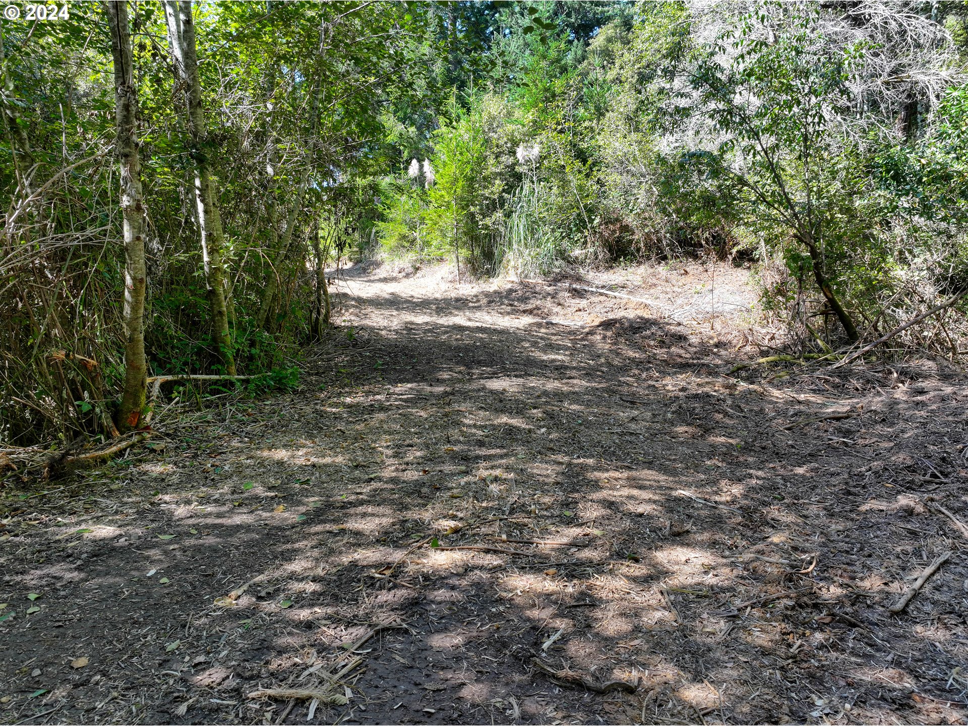 Old County Road Property Photo 16