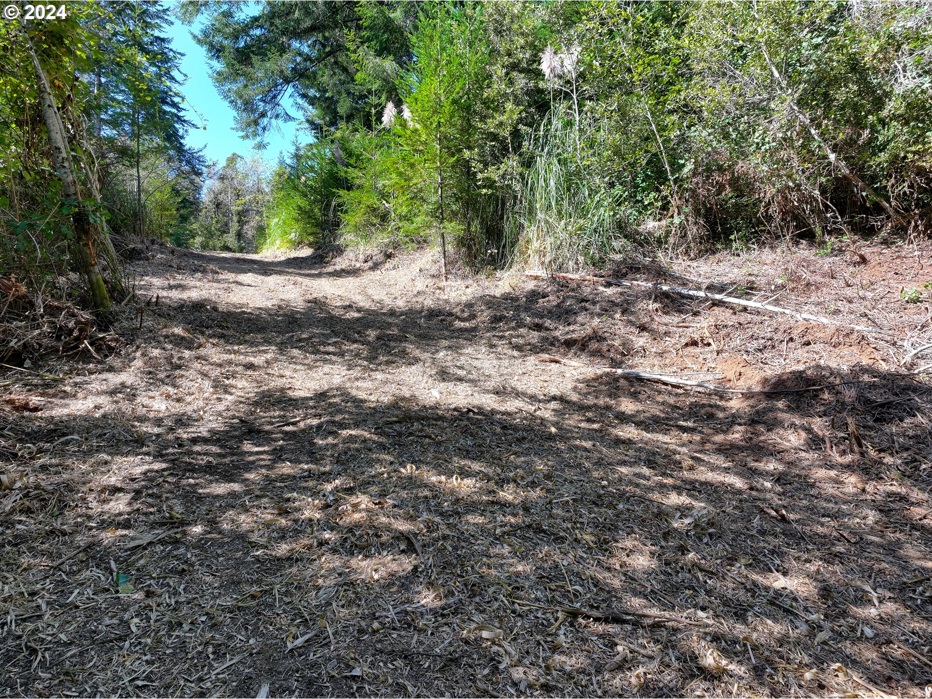 Old County Road Property Photo 17