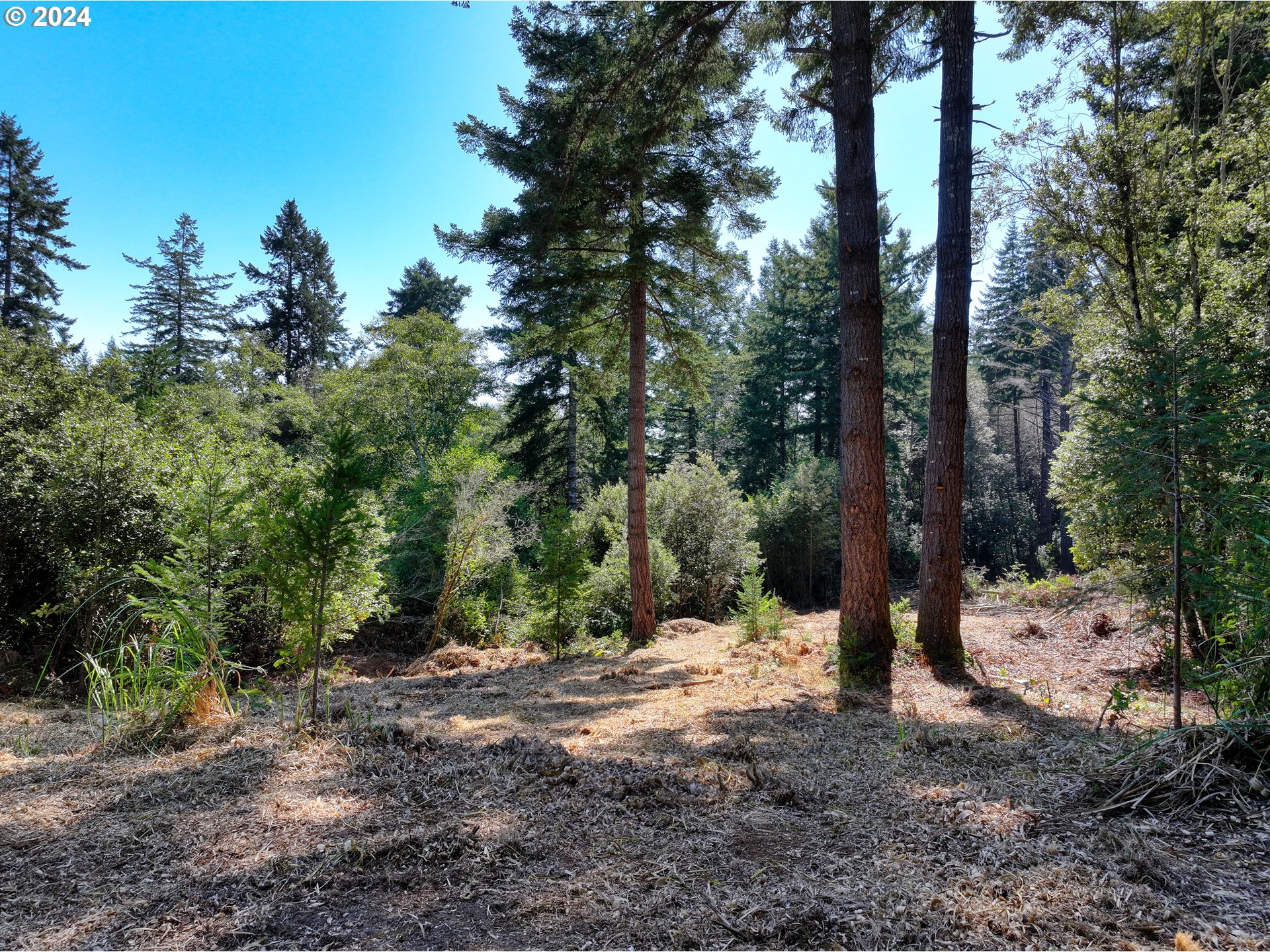 Old County Road Property Photo 18