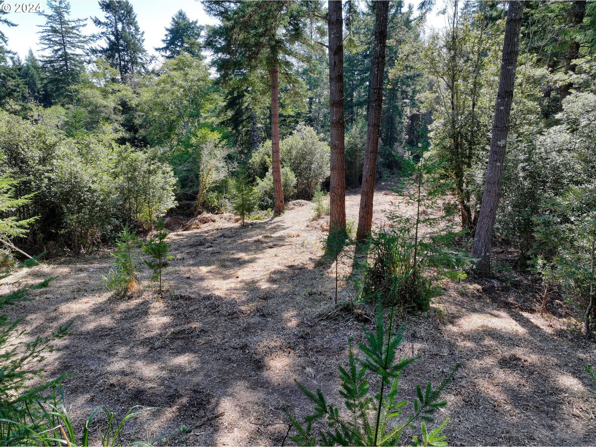Old County Road Property Photo 19