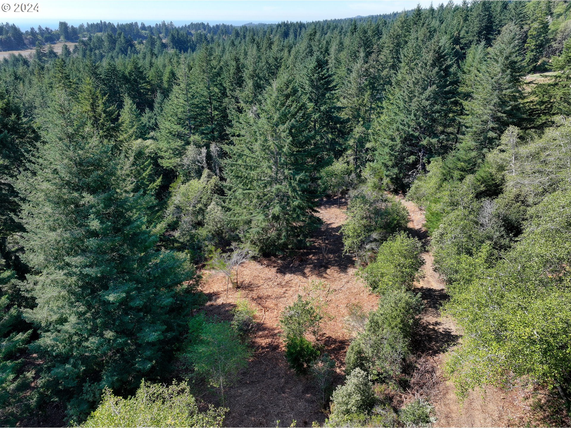 Old County Road Property Photo 20