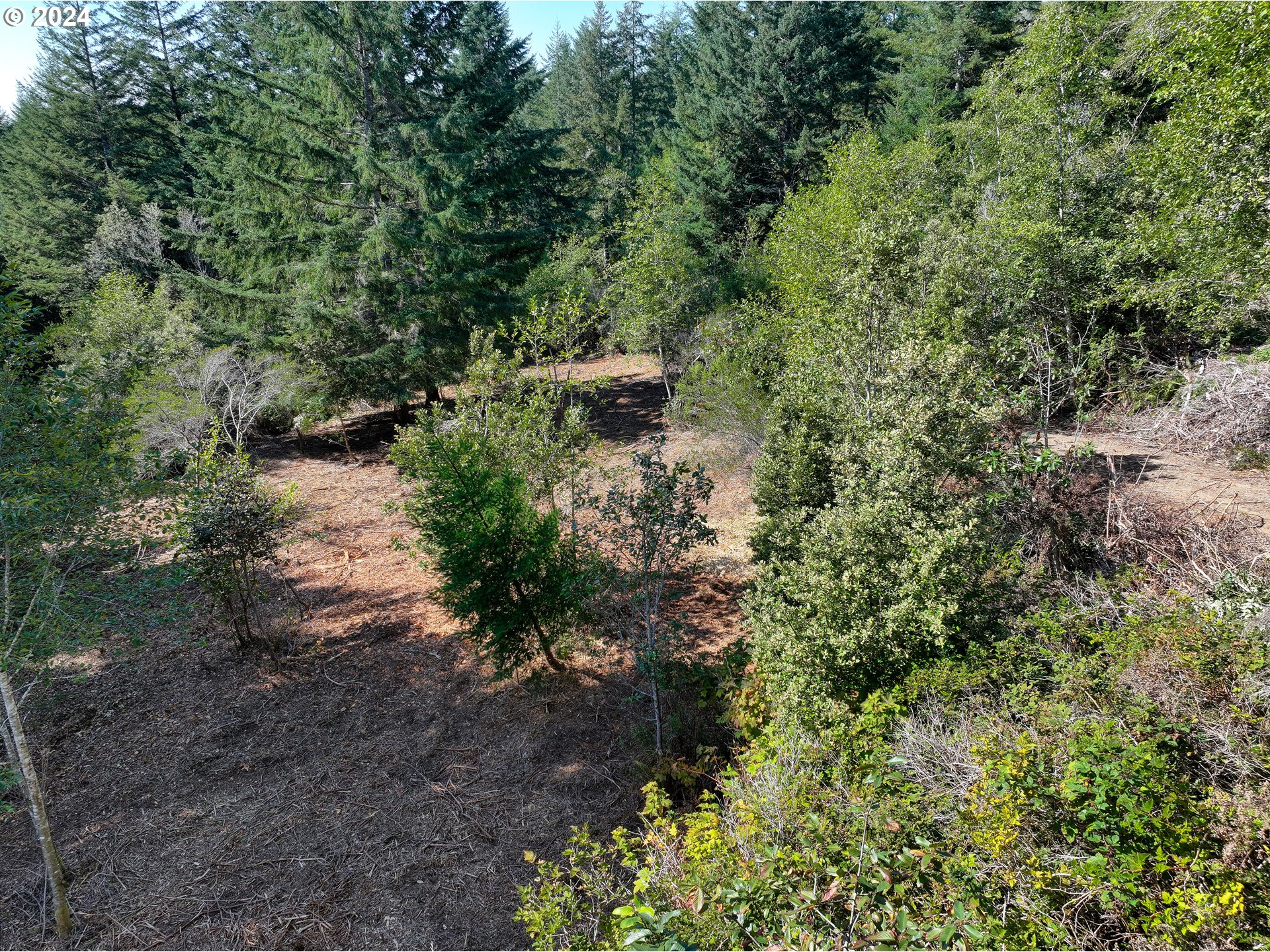 Old County Road Property Photo 21