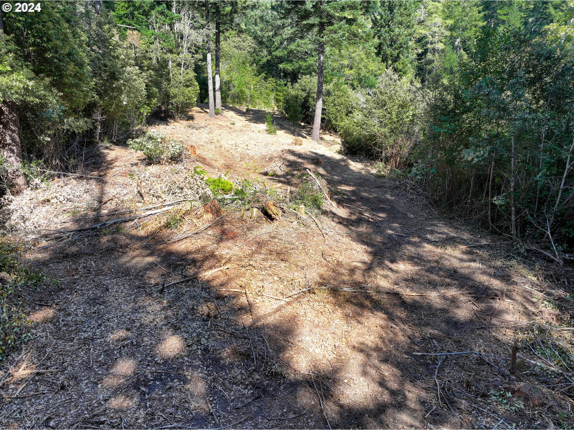 Old County Road Property Photo 22