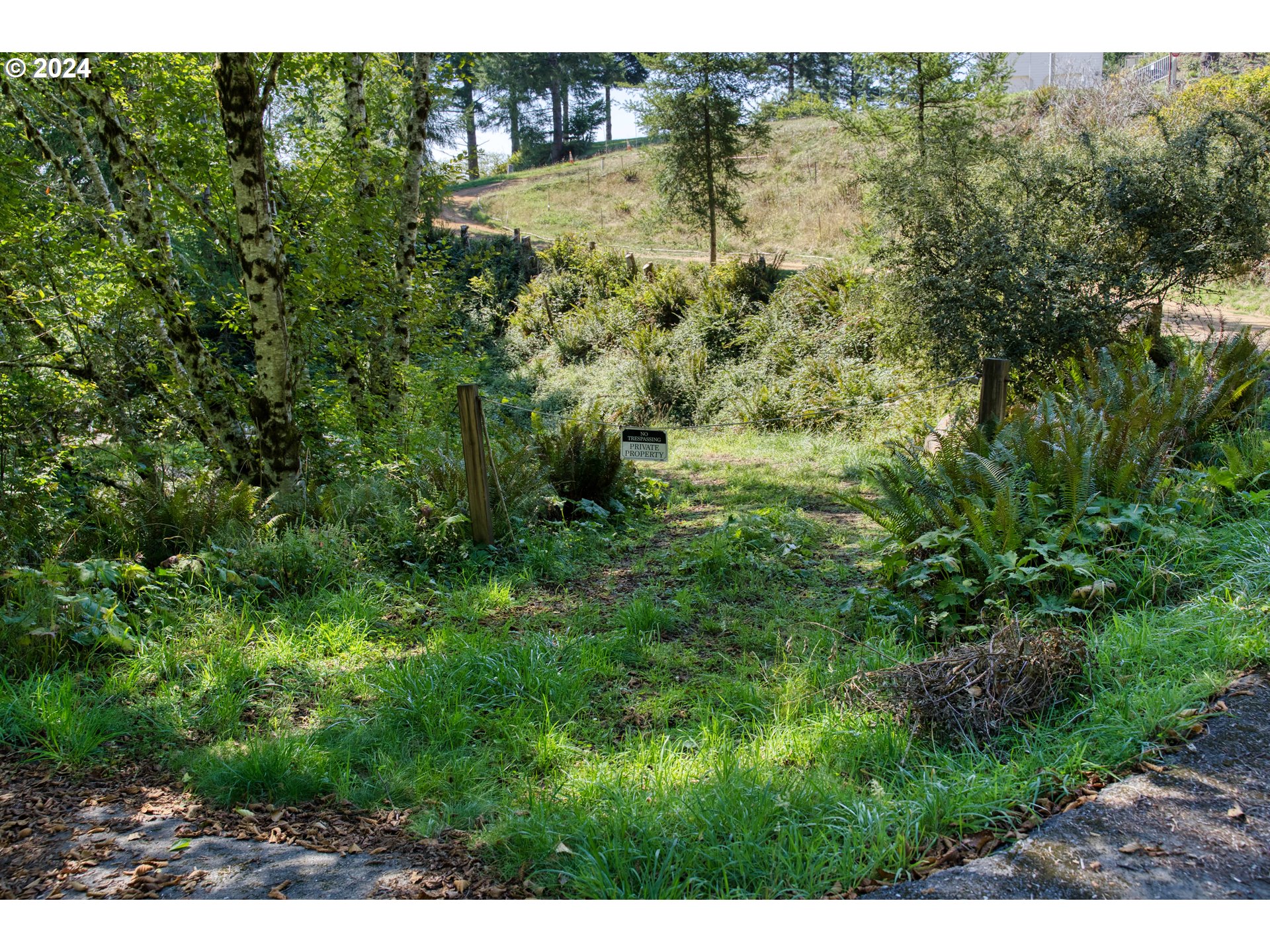 Old County Road Property Photo 23