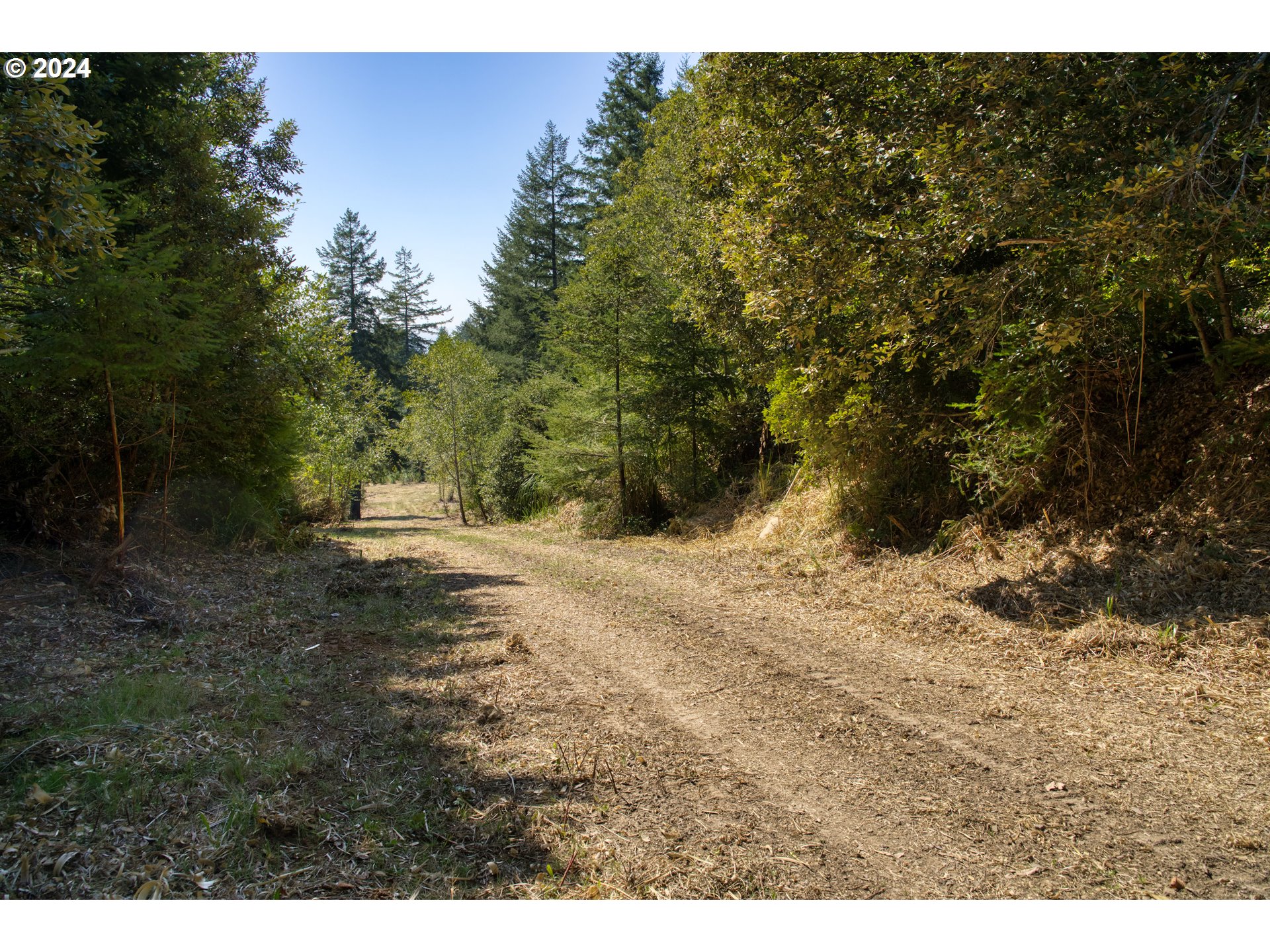 Old County Road Property Photo 25