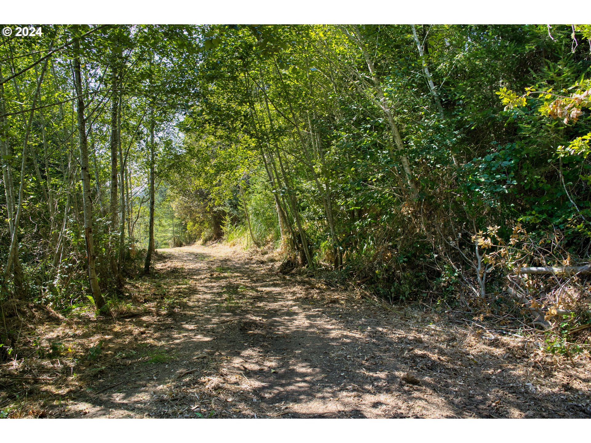 Old County Road Property Photo 26