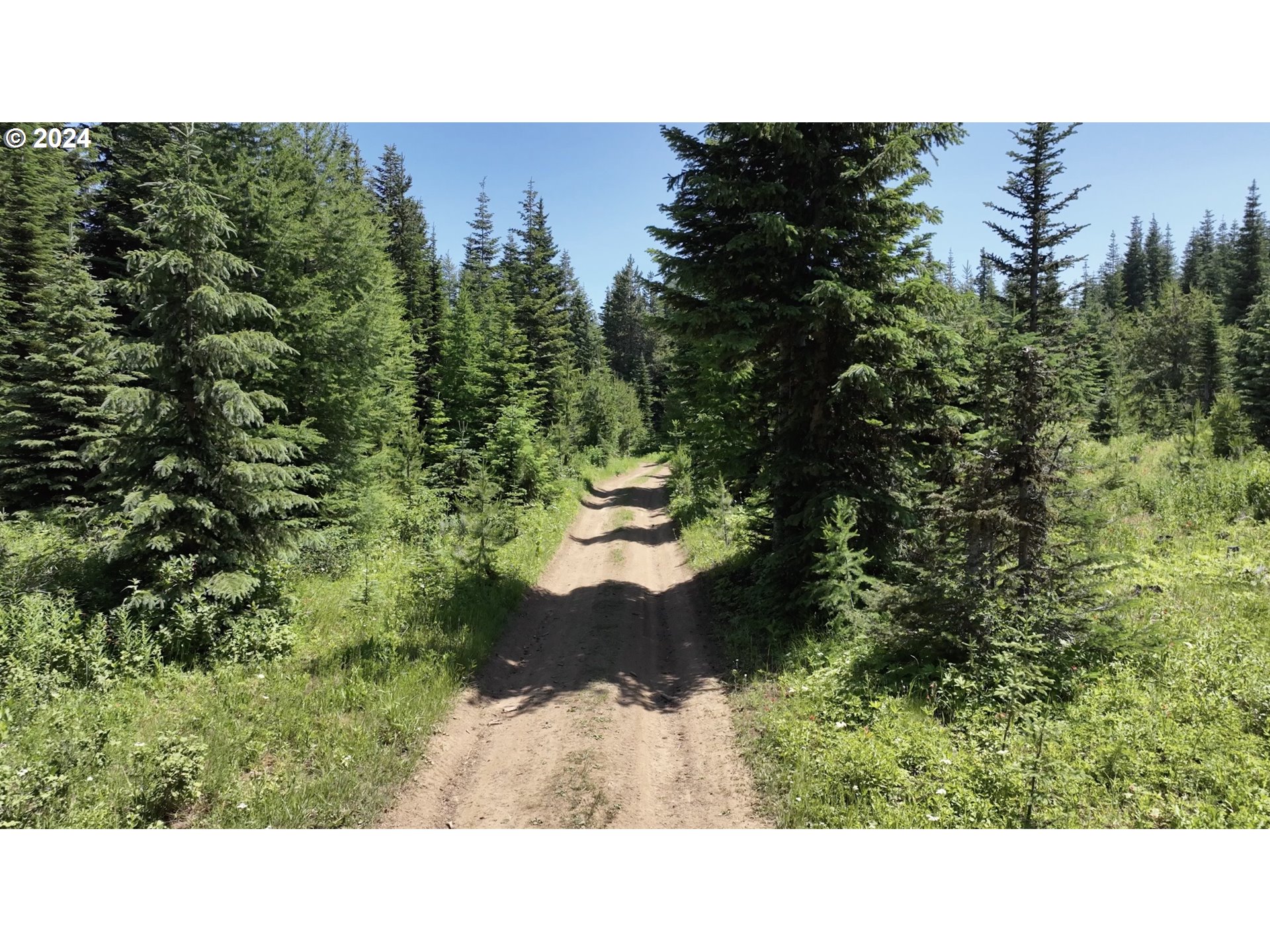 0 Vacant Land Property Photo 4