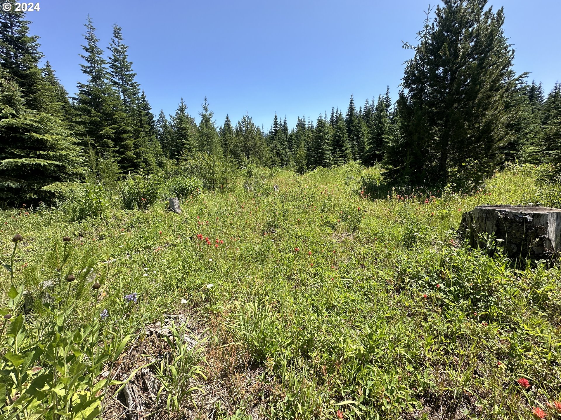0 Vacant Land Property Photo 7