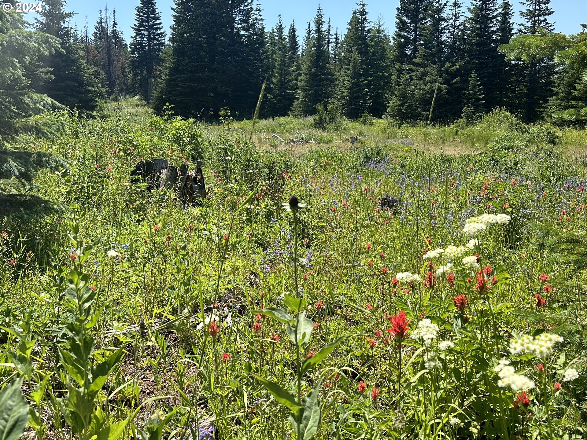 0 Vacant Land Property Photo 8