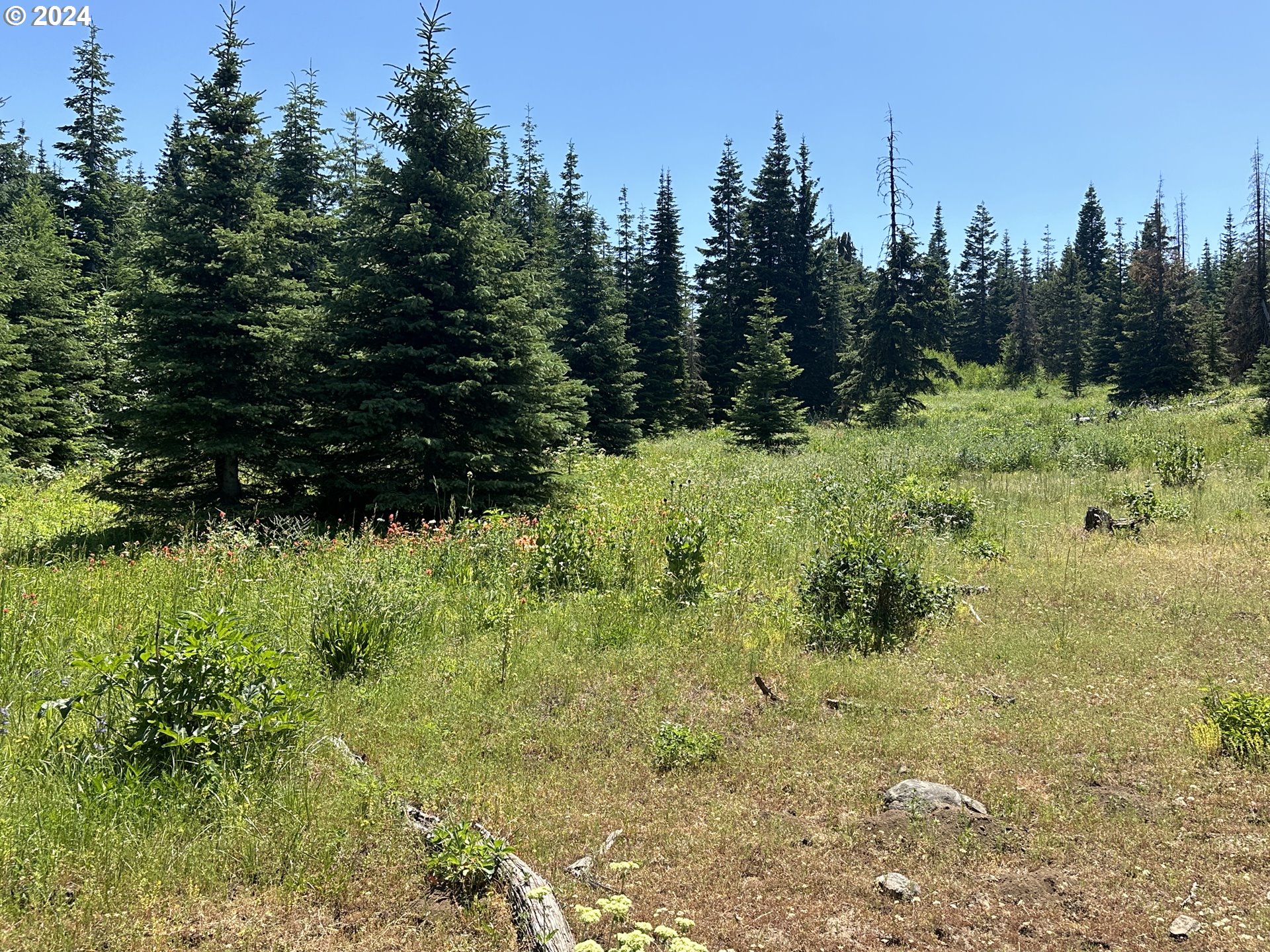 0 Vacant Land Property Photo 9