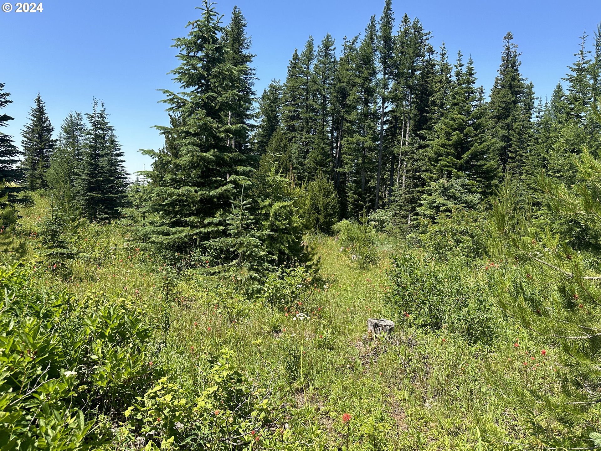 0 Vacant Land Property Photo 11