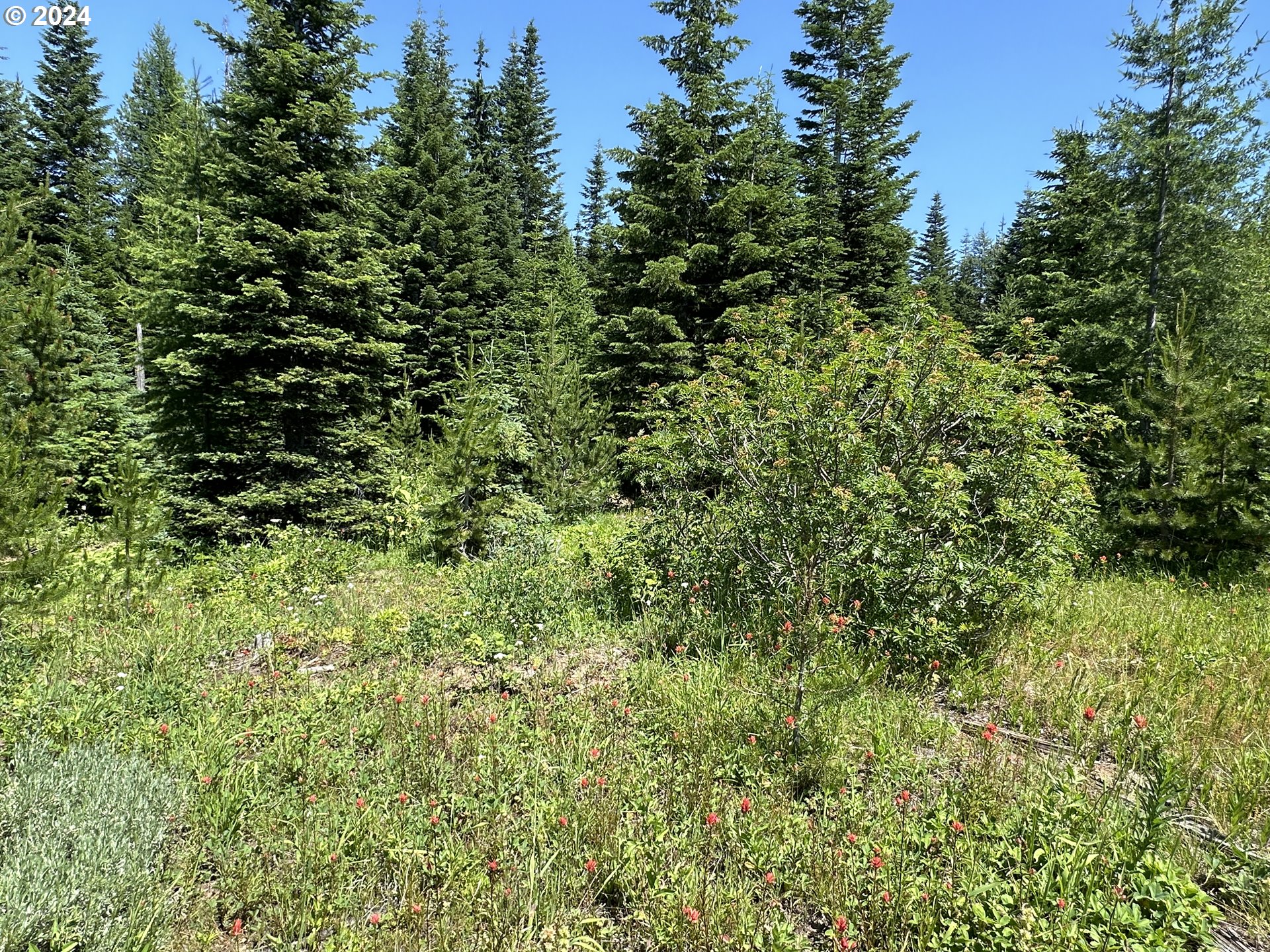 0 Vacant Land Property Photo 13