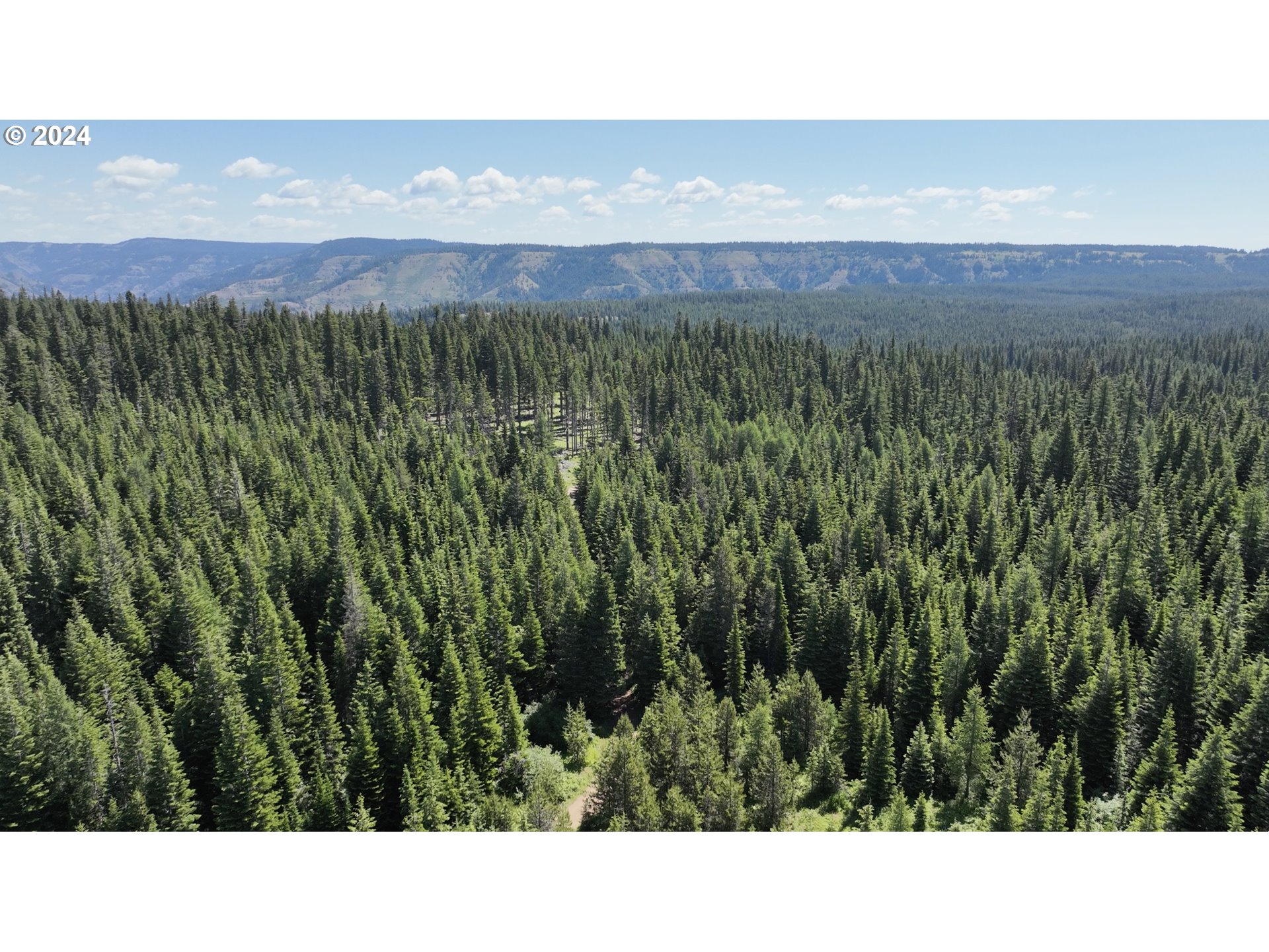 0 Vacant Land Property Photo 15