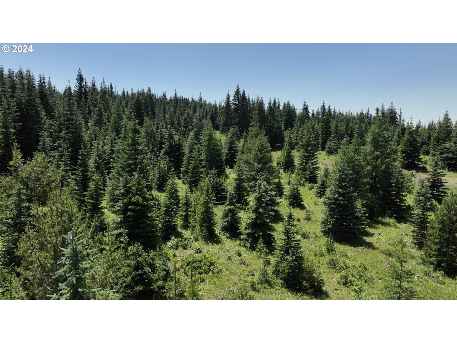 0 Vacant Land Property Photo 17