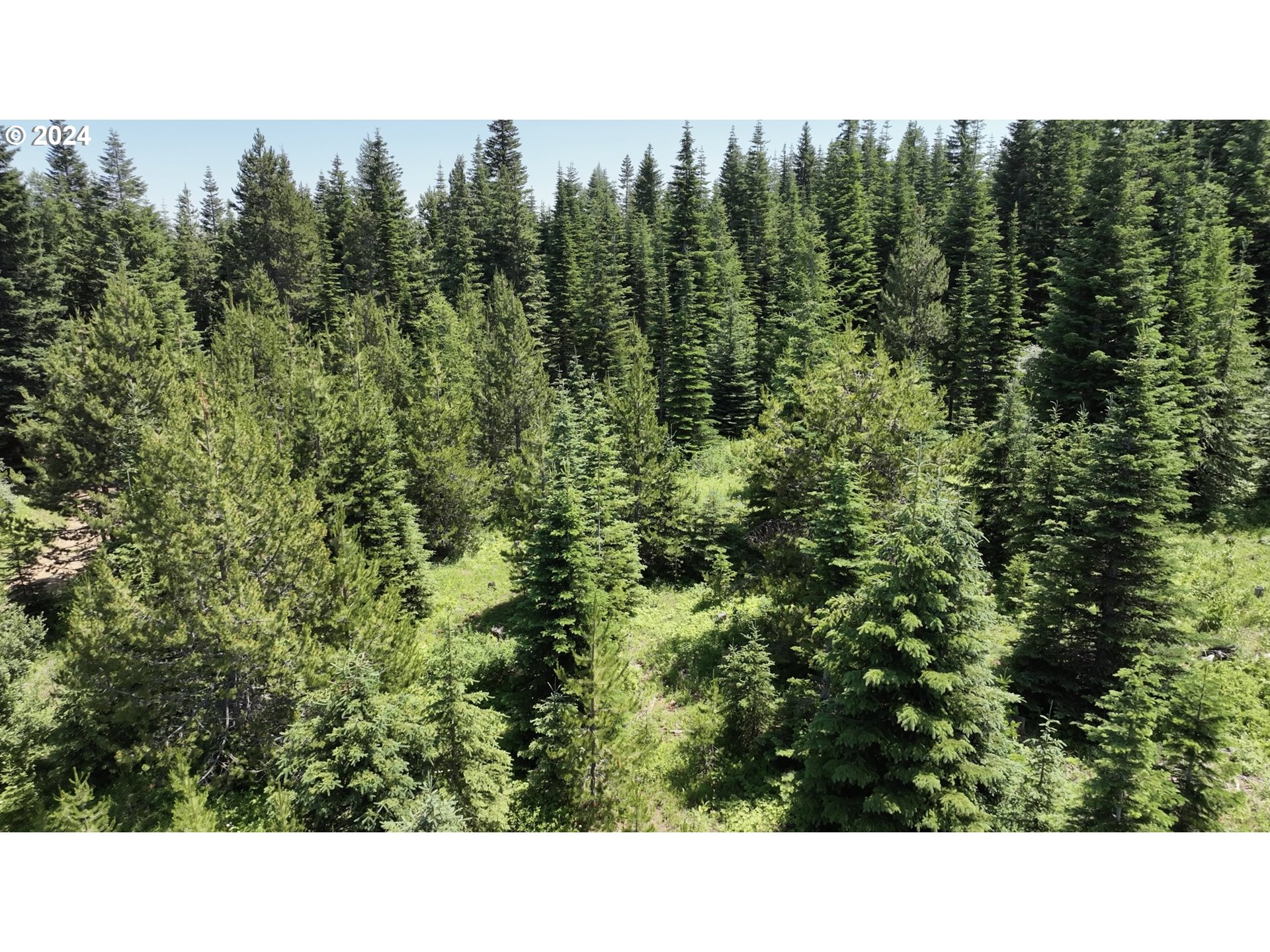 0 Vacant Land Property Photo 19